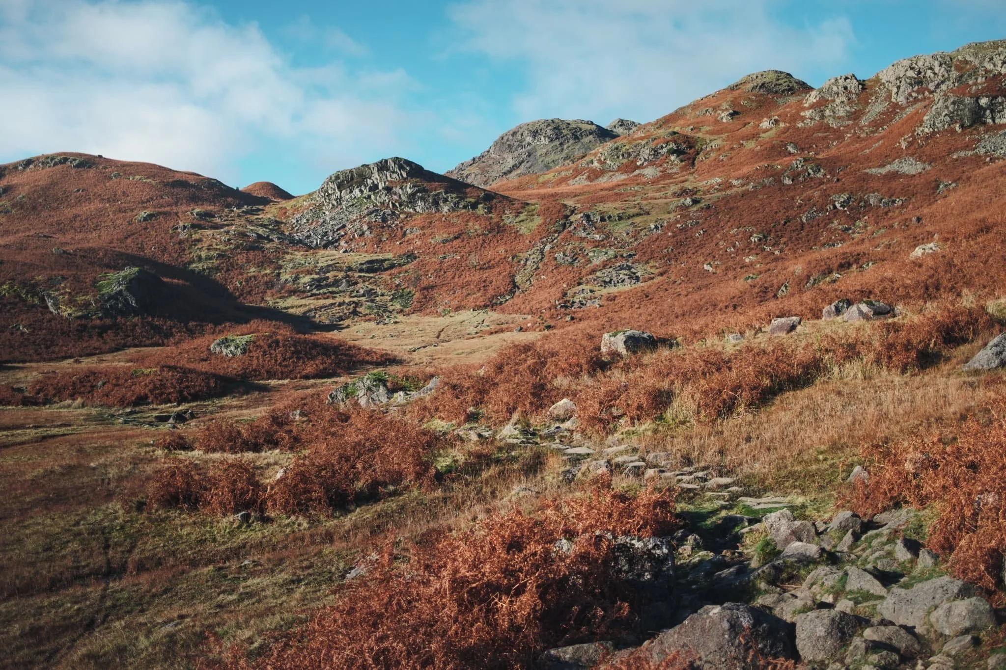  Look back at the loosely pitched footpath we took from Easedale Tarn. 