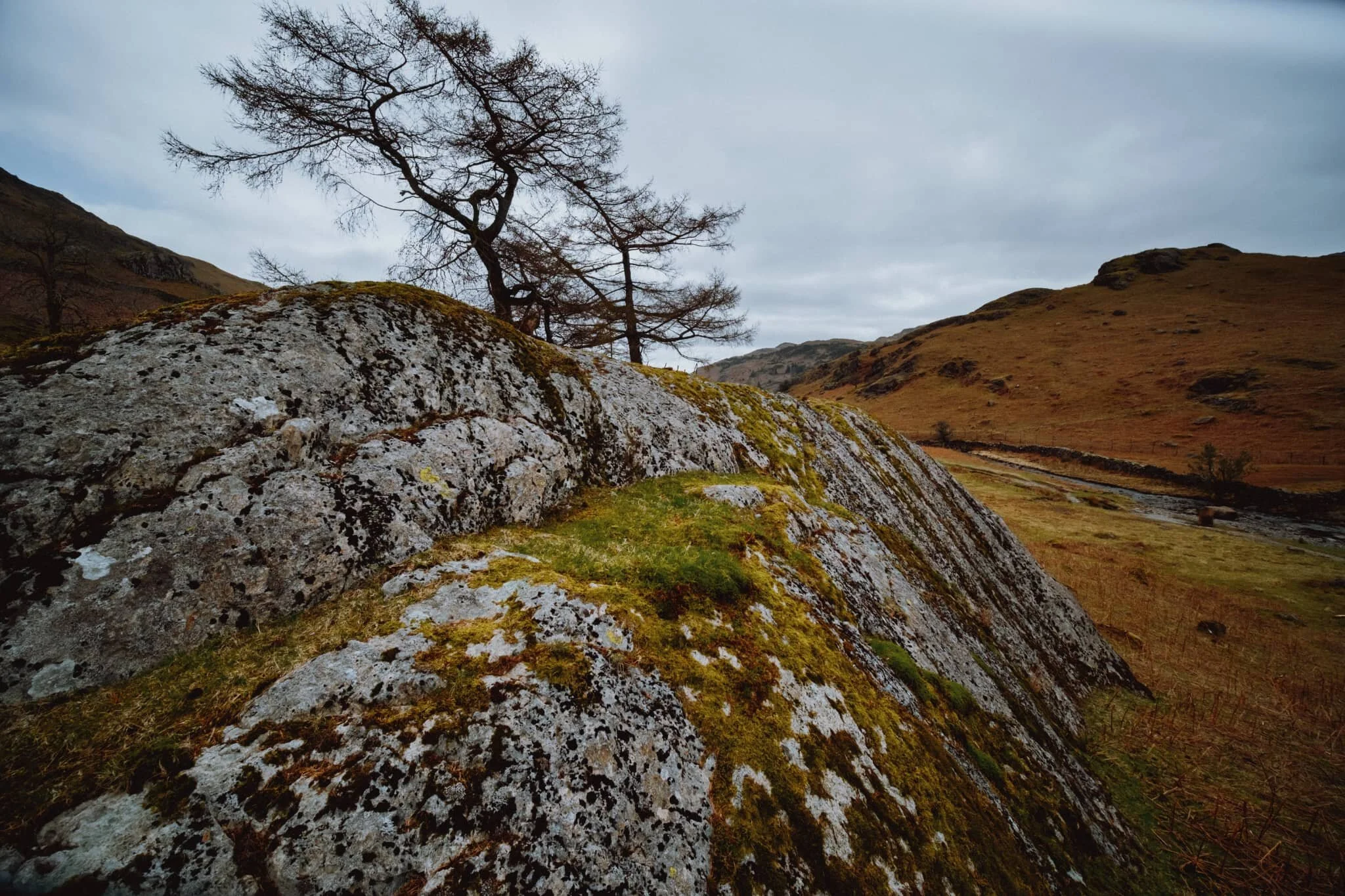  At the floor of the Far Easedale valley, I located a couple of massive boulders I found interesting. I lined up some compositions involving their wonderful colours, textures, and patterns. 