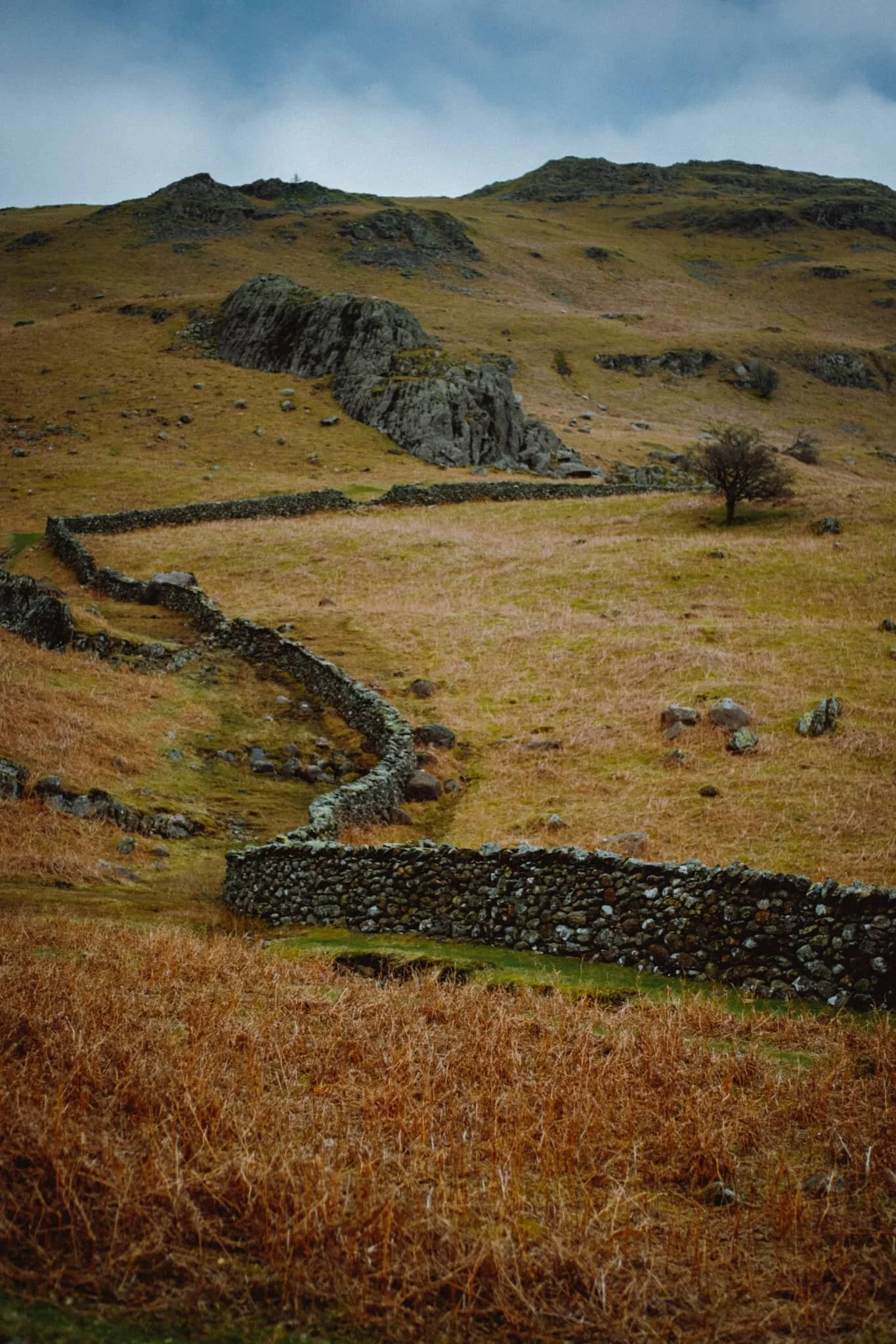  &ldquo;Ian, look! A winding drystone wall.&rdquo; Lisabet knows me too well. 