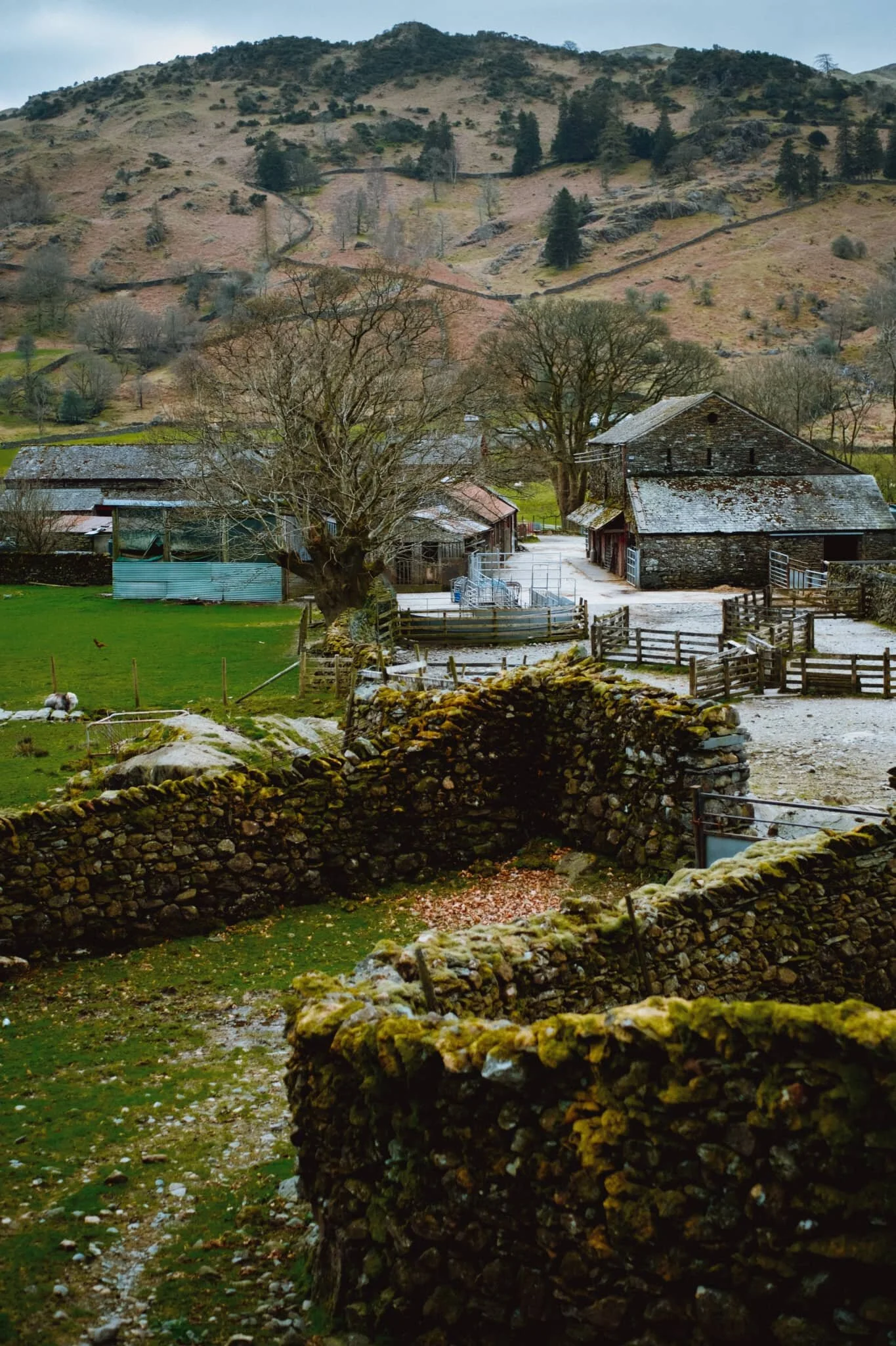  Brimmer Head Farm. This is referenced on the OS Map in an old-style Blackletter typeface, indicating historical interest. Turns out that there&rsquo;s a building in the farm that dates back to 1574, reputedly the oldest house in Grasmere. 