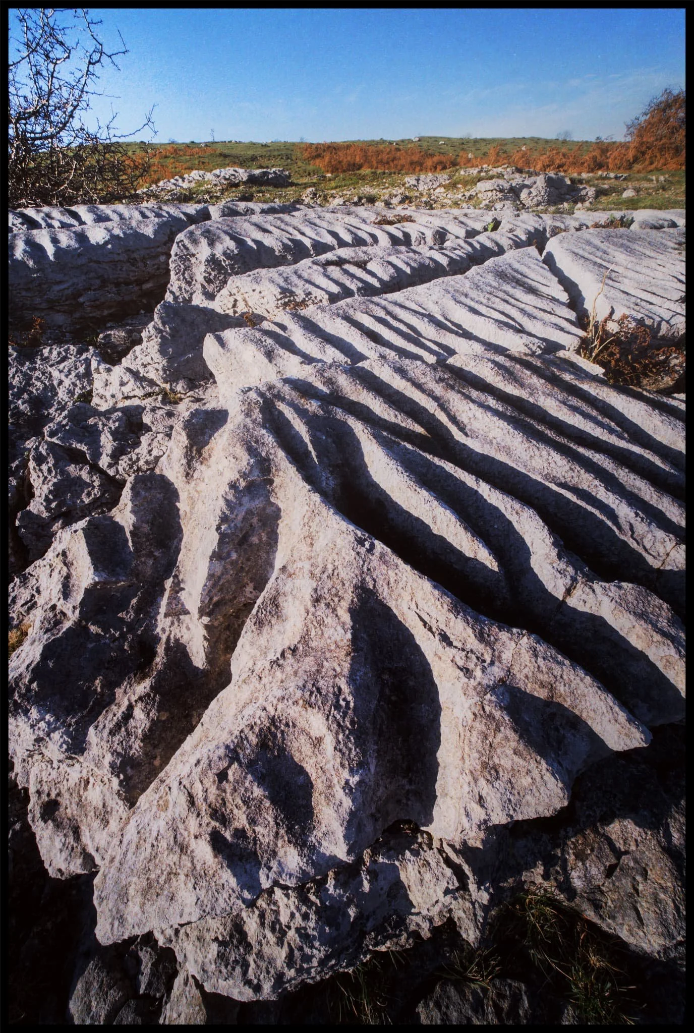  Though nowhere near as extensive or as complete as somewhere like Ingleborough or  Malham , the site of these sections of beautiful limestone pavement was truly welcome. 
