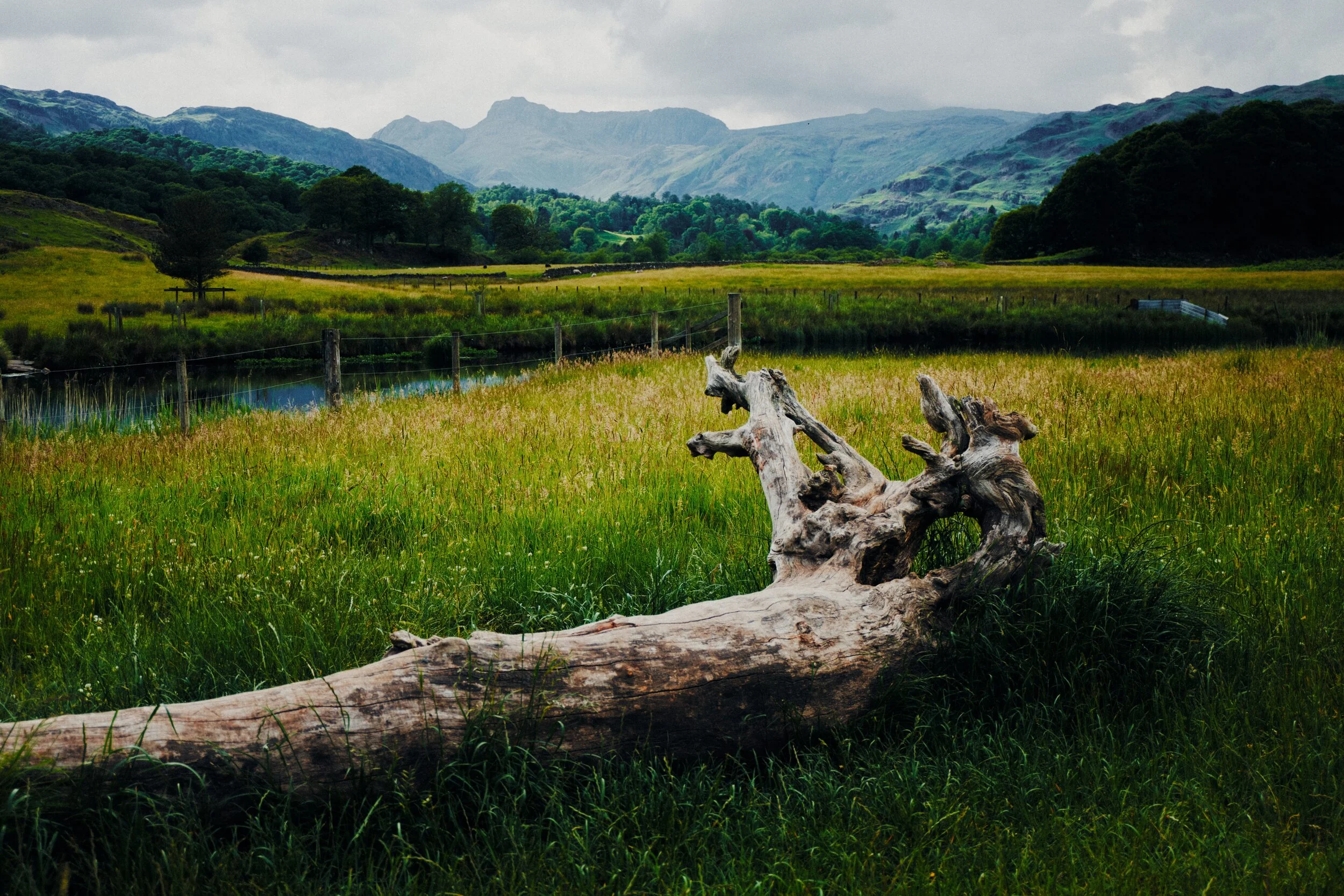  It&rsquo;s hard to stop shooting compositions involving the Langdale Pikes around here. 