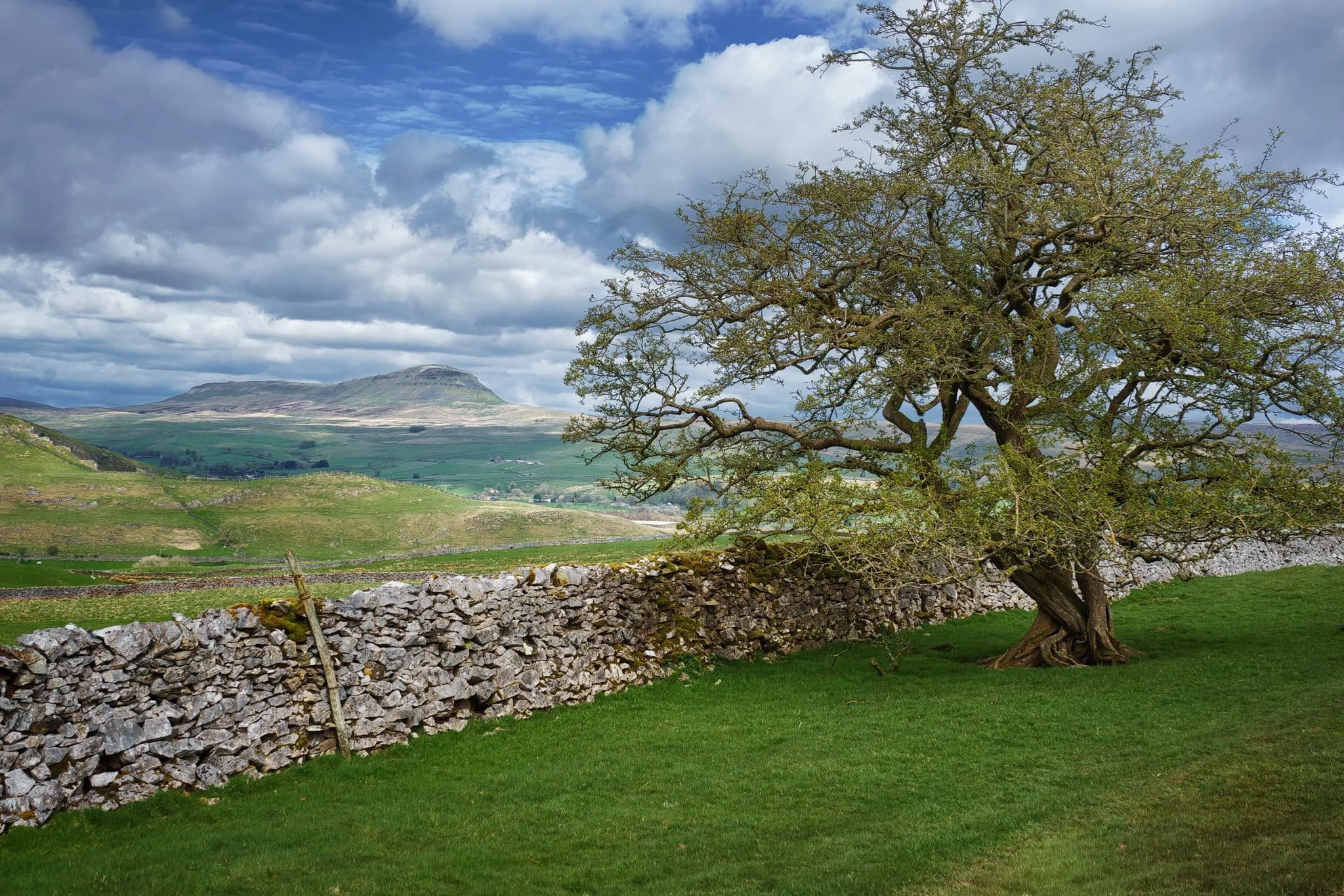  Round the back of Pott Scar, before ascending, one can enjoy expansive views towards Pen-y-ghent, one of the Three Peaks of the Yorkshire Dales. 