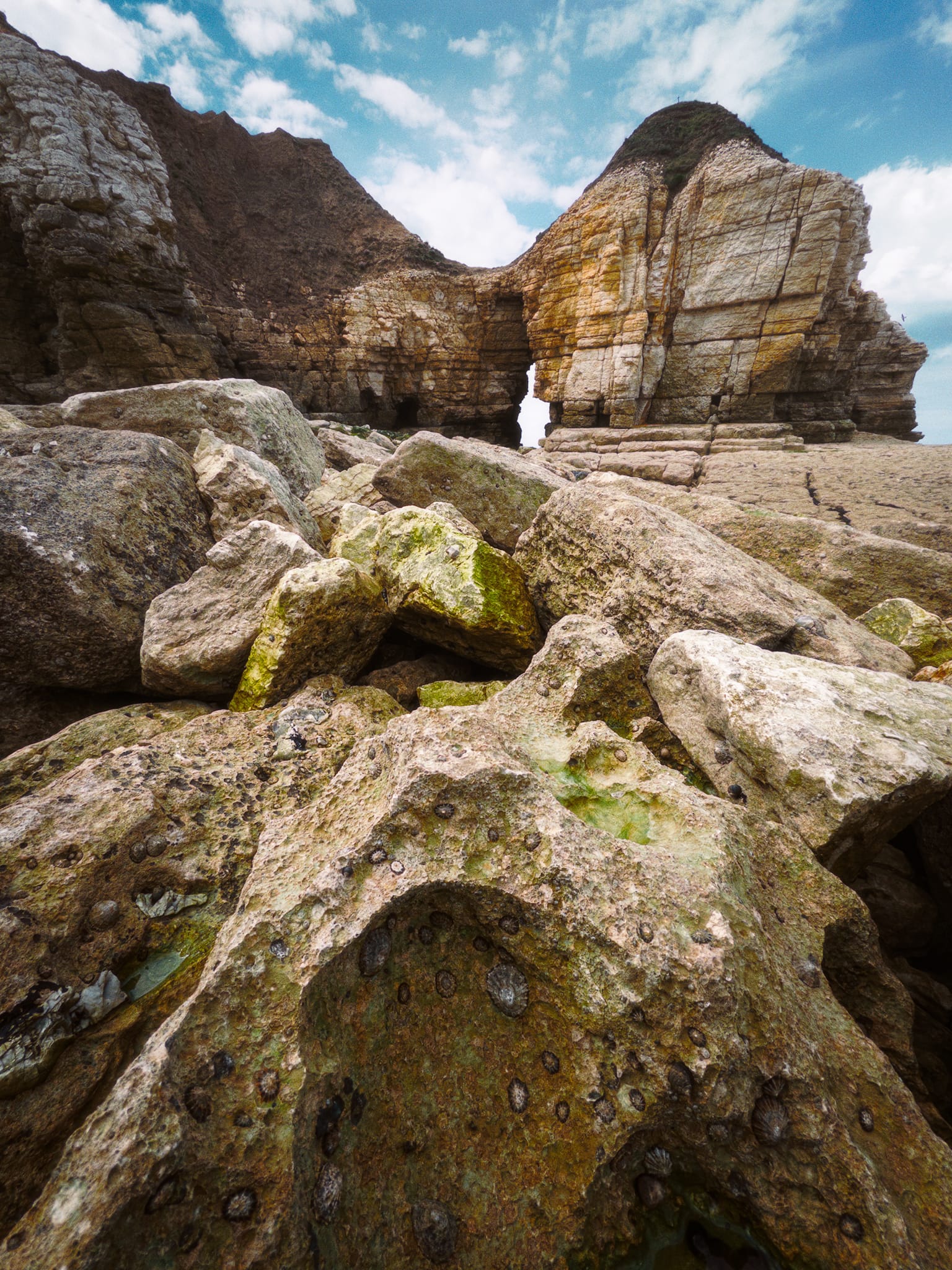 A bit further around the Nab, these sea-sculpted chalk boulders gave me another composition that could also feature the “door” separating Thornwick Nab from the rest of the cliffs.