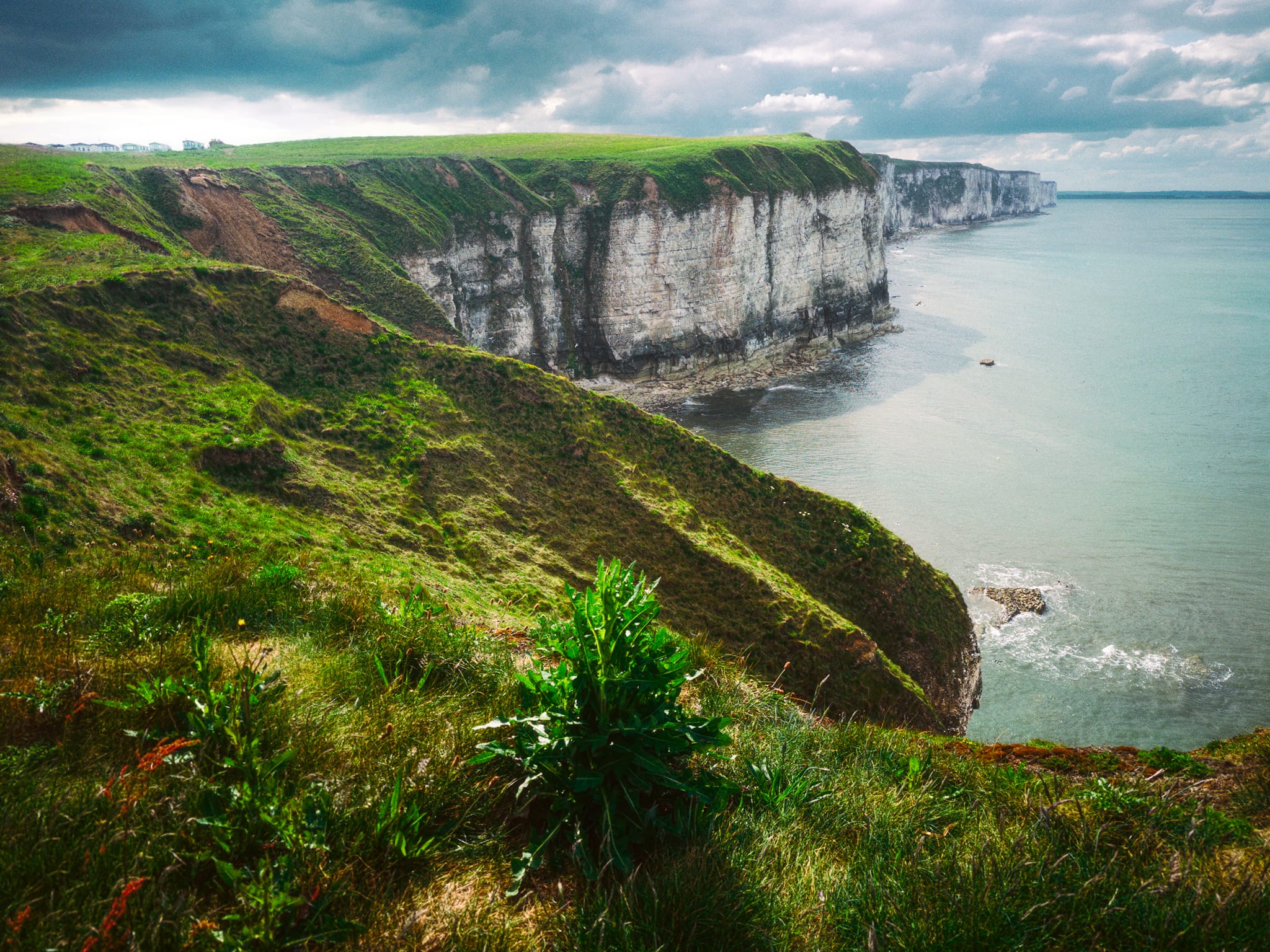On the OS map, I could see a rising headland further west of Thornwick Bay, so decided to hike up for a peek. I was greeted with this ridiculous view of the Bempton Cliffs, receding into the distance, accompanied by the cries of thousands of sea birds. Unbelievable.