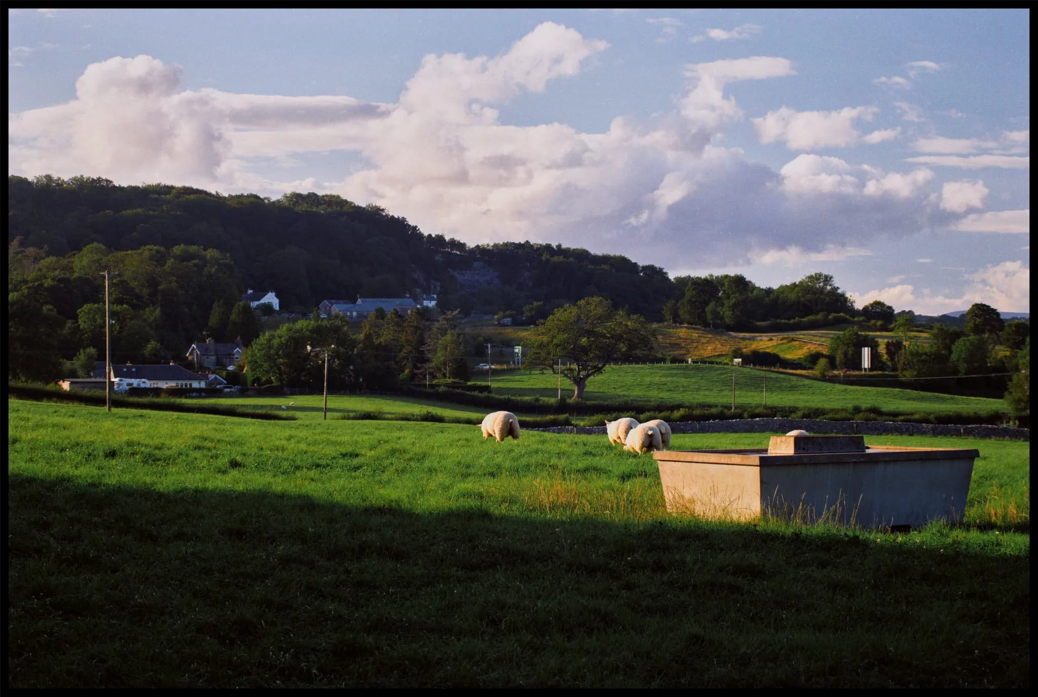  After following the path underneath the A591, you soon start crossing open fields towards the Deer Park. 