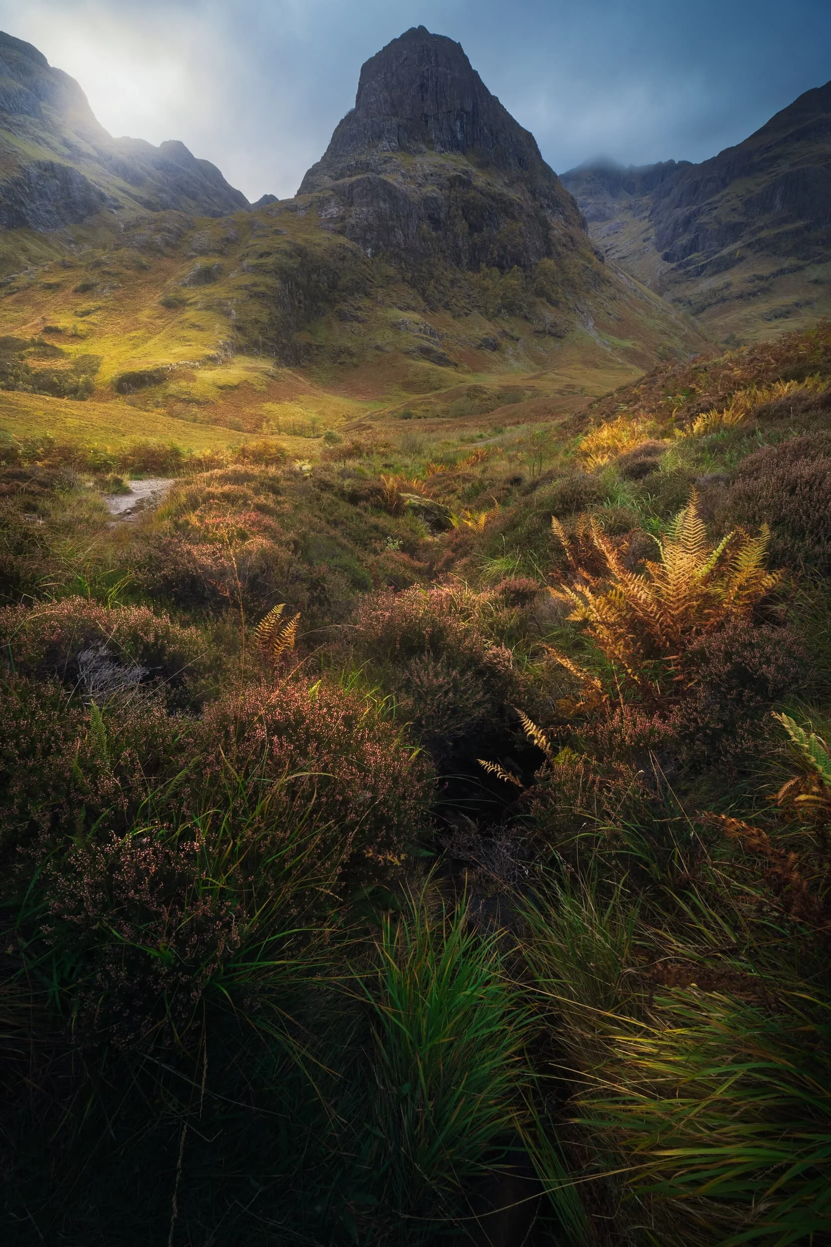  Trying to capture the mosaic of colours on the valley floor, looking centrally towards  Gearr Aonach . 