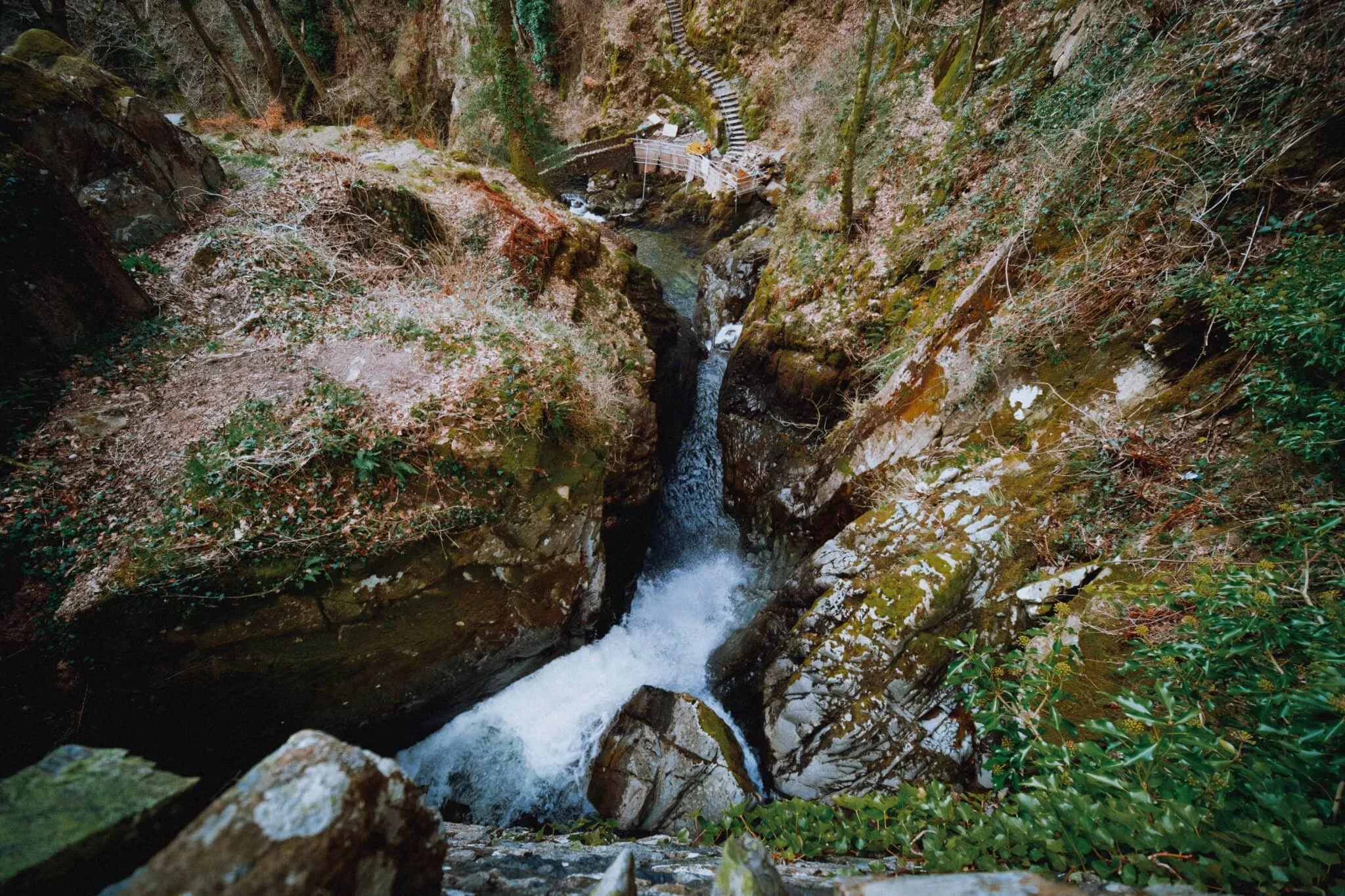  Understandably the footpath around Aira Force woods is one way, which we made short work of. From the small stone bridge above the waterfall, my 9mm ultra wide lens allows an expansive and unique view of the drop down to the plunge pool and beyond. The usual viewing area below the waterfall is currently blocked off, as the National Trust who own the land here are currently working on a new and stronger viewing platform. 