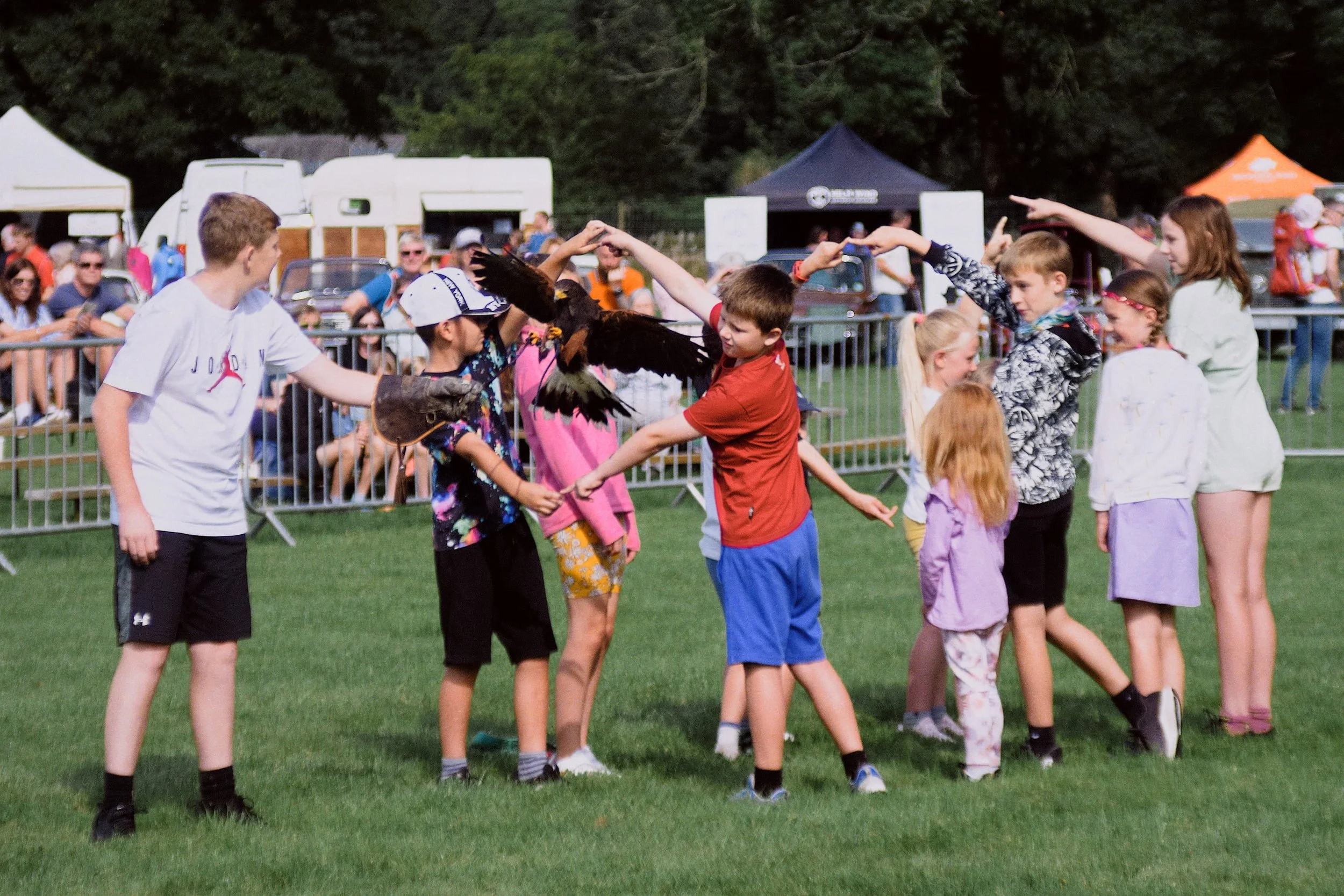  The  Ridgeside Falconry  display was excellent. Kids were challenged to come onto the field and make a tunnel with their arms.  