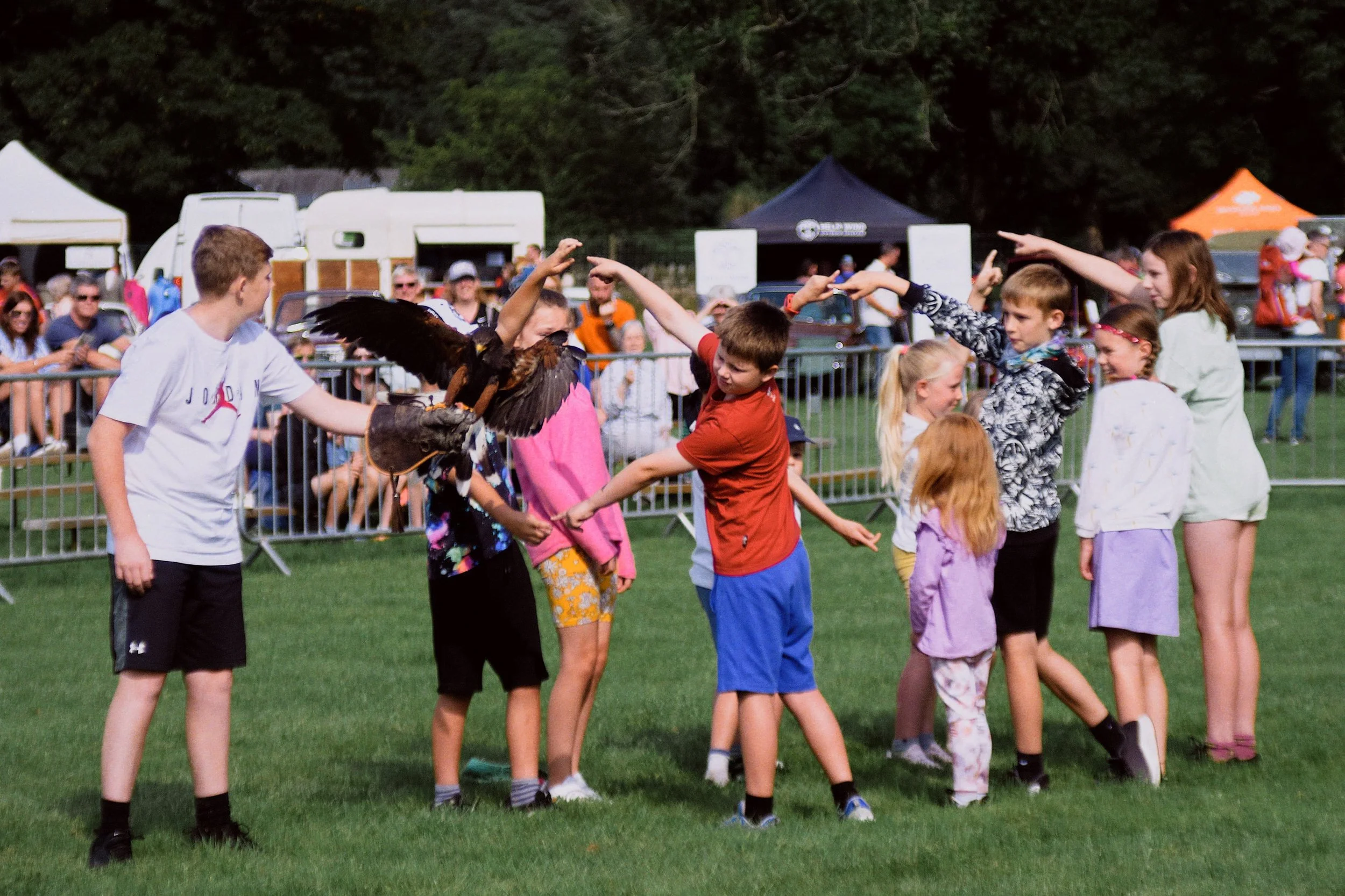  A hawk or eagle, can&rsquo;t remember which, would then fly through the tunnel to nab some food. 