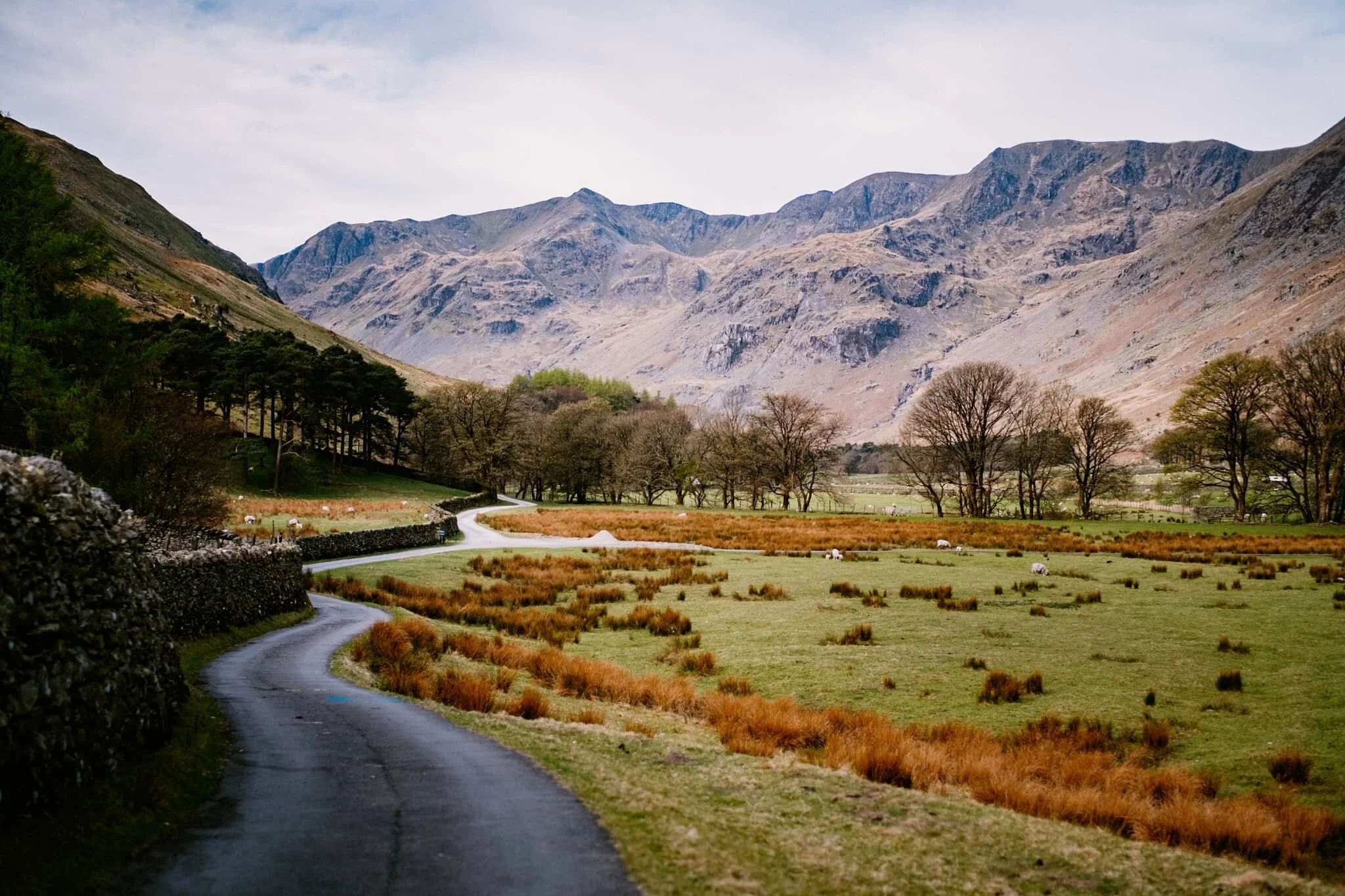  As soon as you pop out of Waterfall Woods, this is the view that greets you.  Look at it.  One of the best valley backdrops in all of Lakeland. 