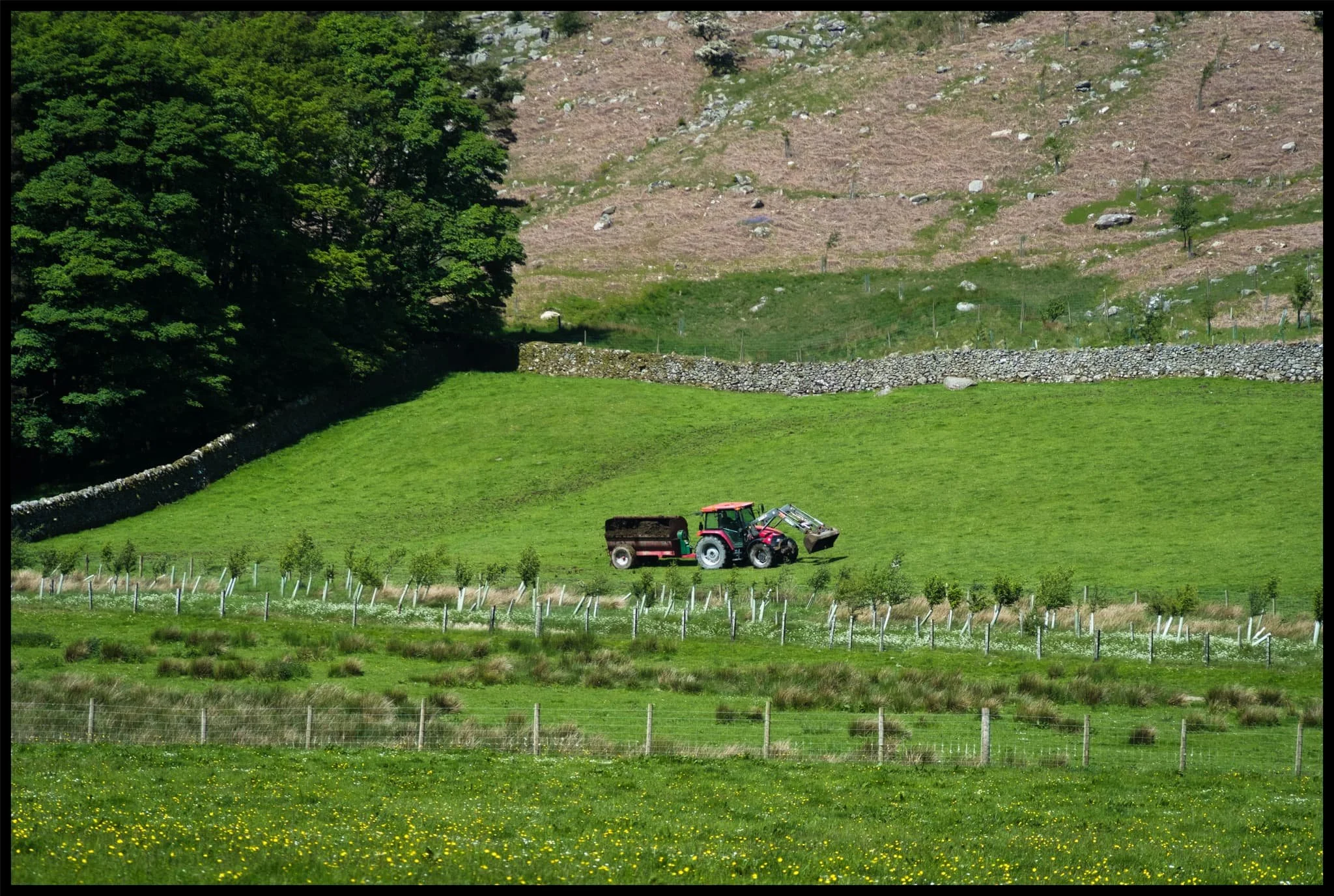  Testing out the capabilities of my Vivitar lens. This was shot at the full 105 mm zoom. A local farmer muck spreading across the valley bottom. 