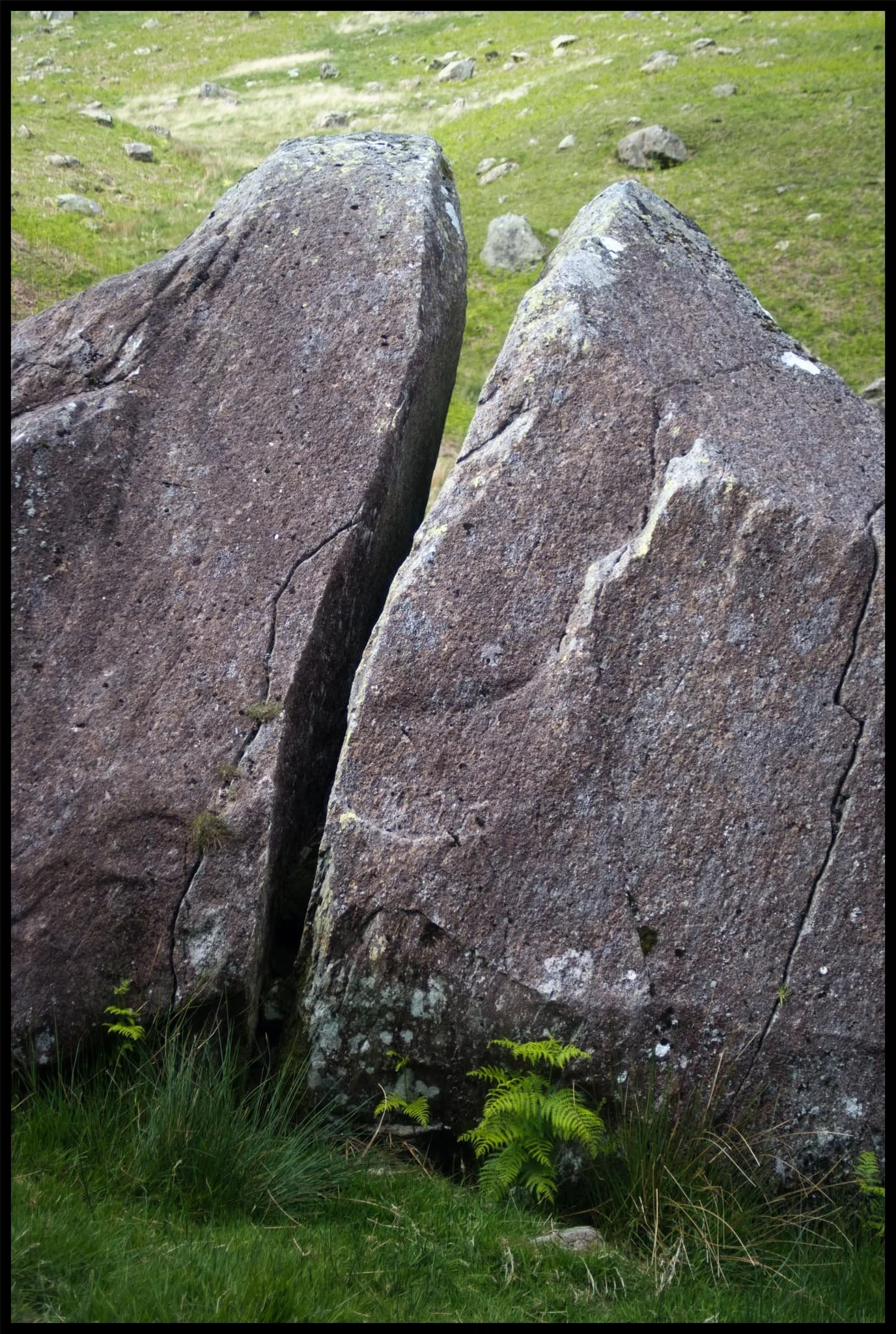  A person-sized glacial erratic, cleft in twain. 