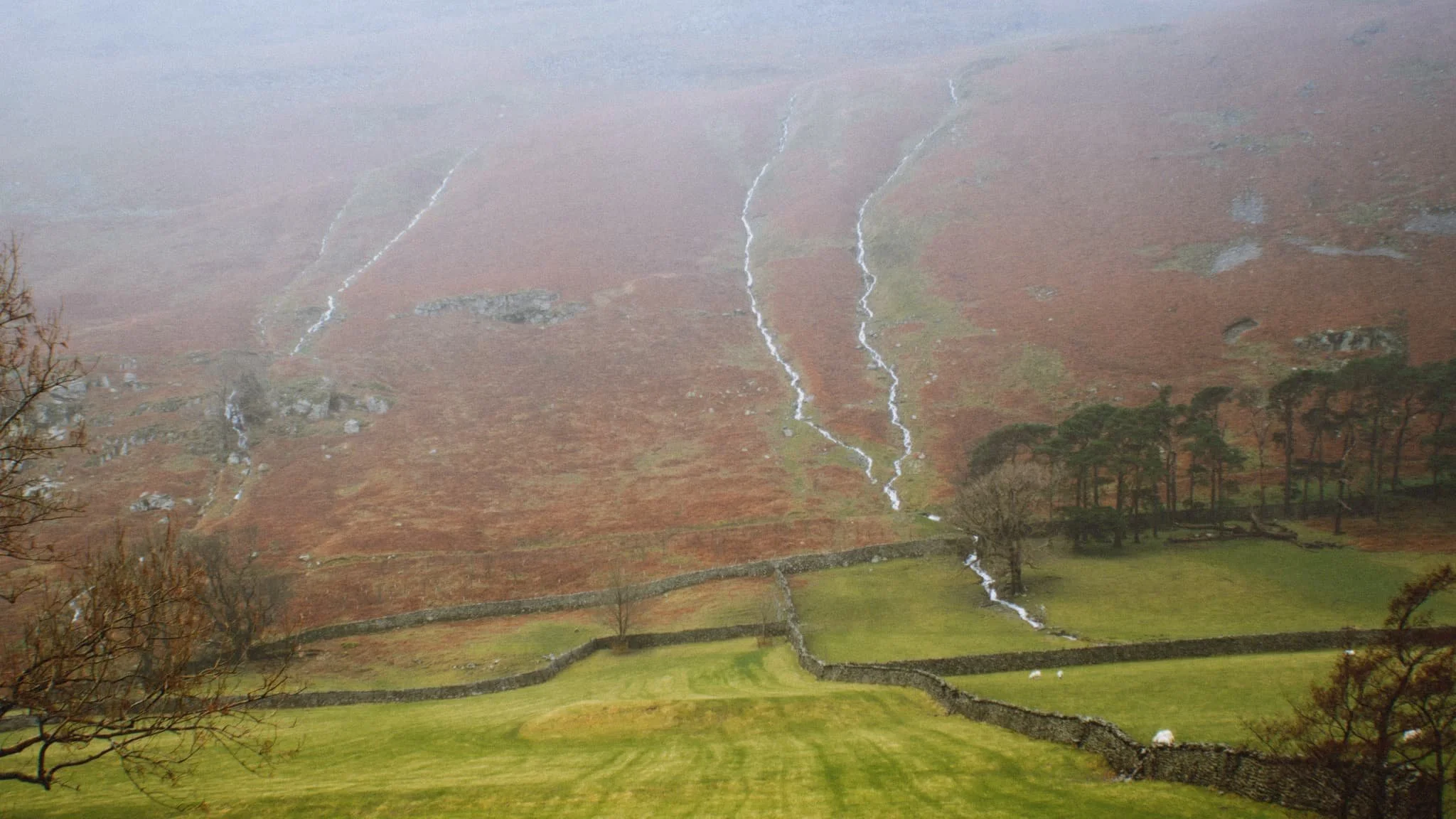  As another squall washes over us, I look across to the northern side of Grisedale and spot these bright becks cascading down the fellside. I very quickly nab a photo. 