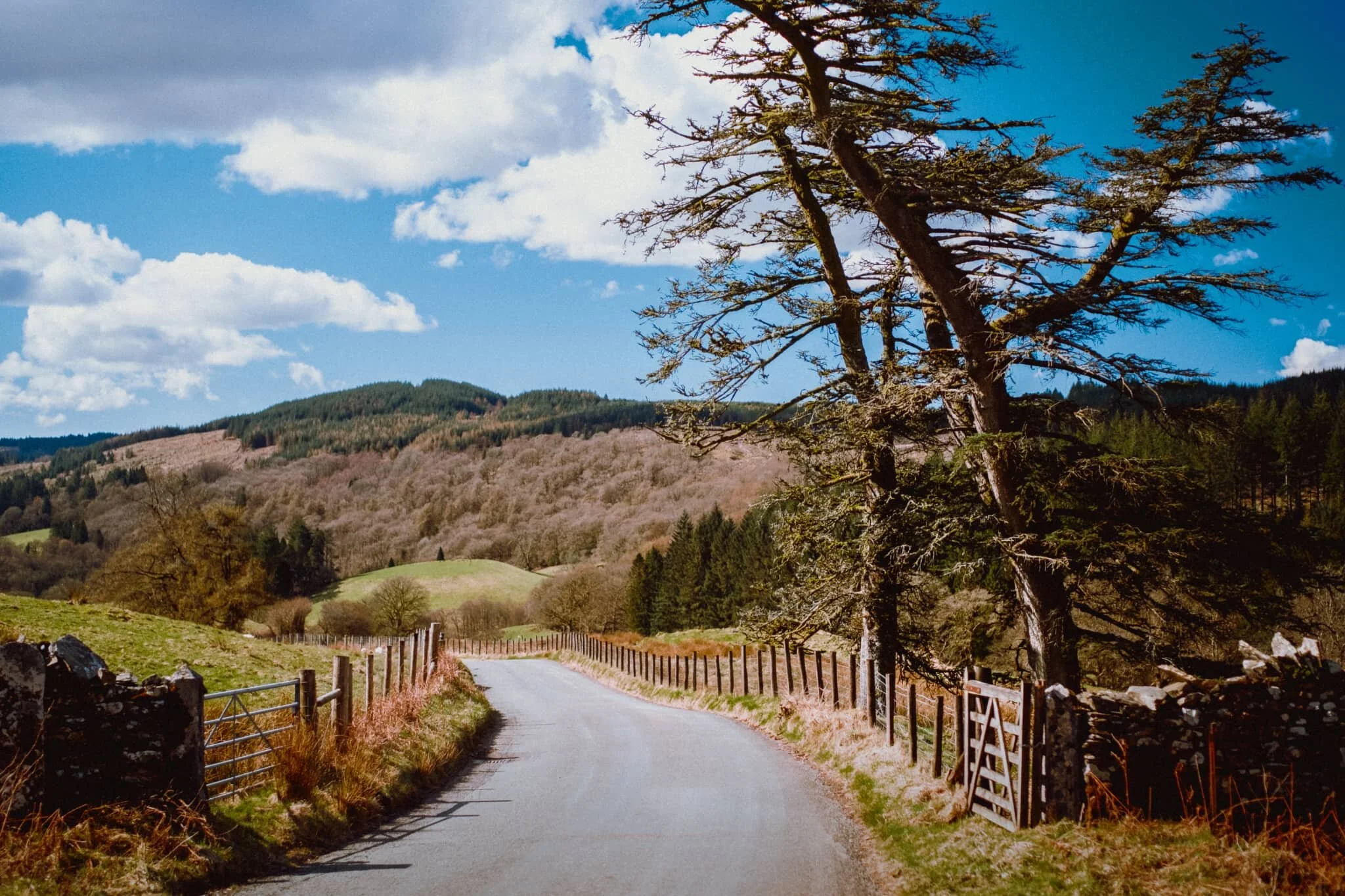  The way down to Grizedale village. 