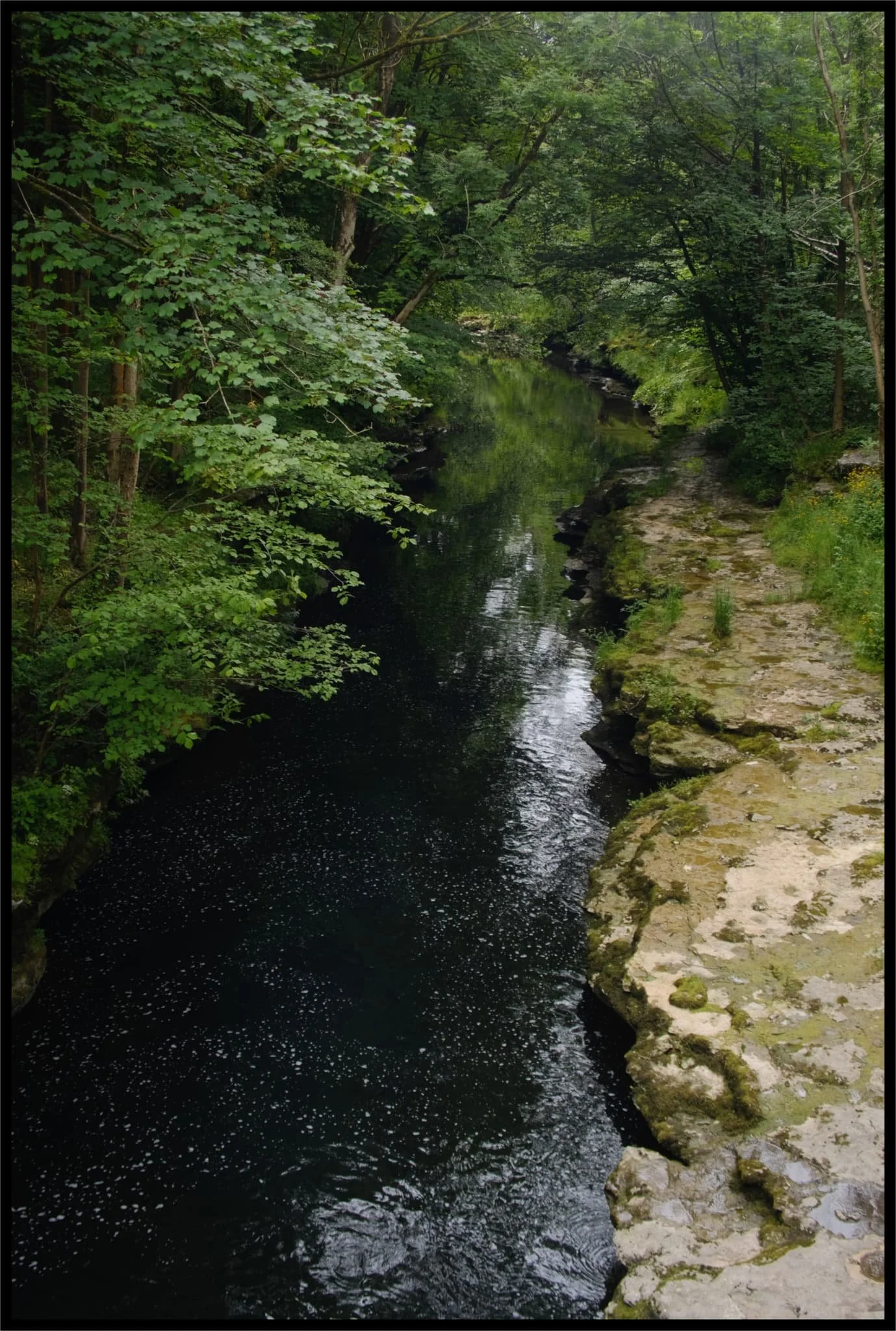  I hopped on top of Hawes Bridge for some compositions looking down into the deep dark gorge. 