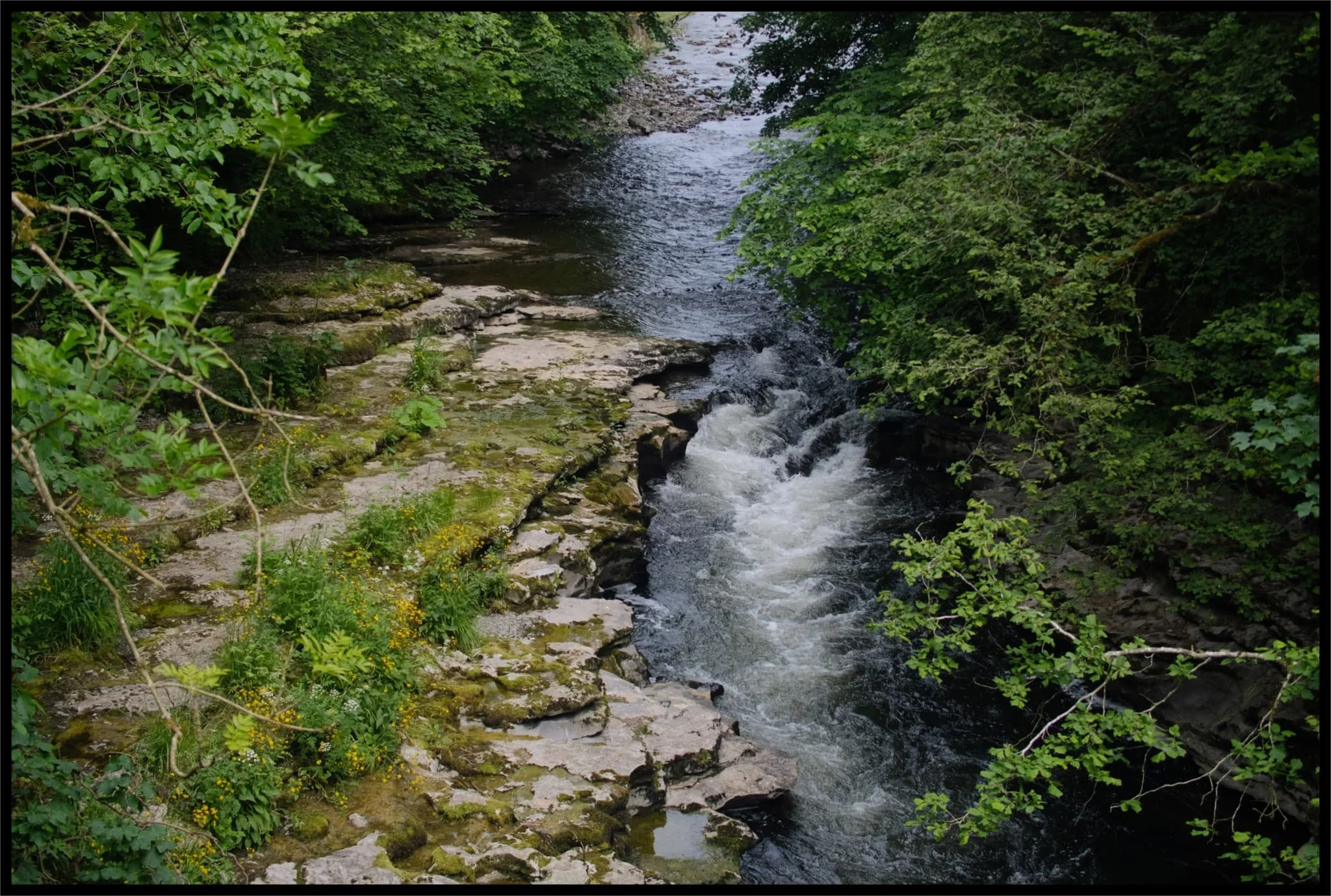  The other side of the gorge towards the falls. You can see how the waterfall has carved shelves and ledges. 