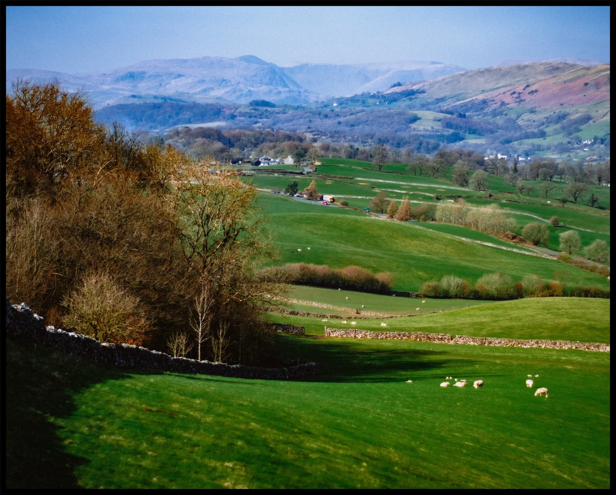  The curving shadow of the wall lends itself as a lovely leading line towards the sheep in the field and ultimately to the distant Lake District fells. 