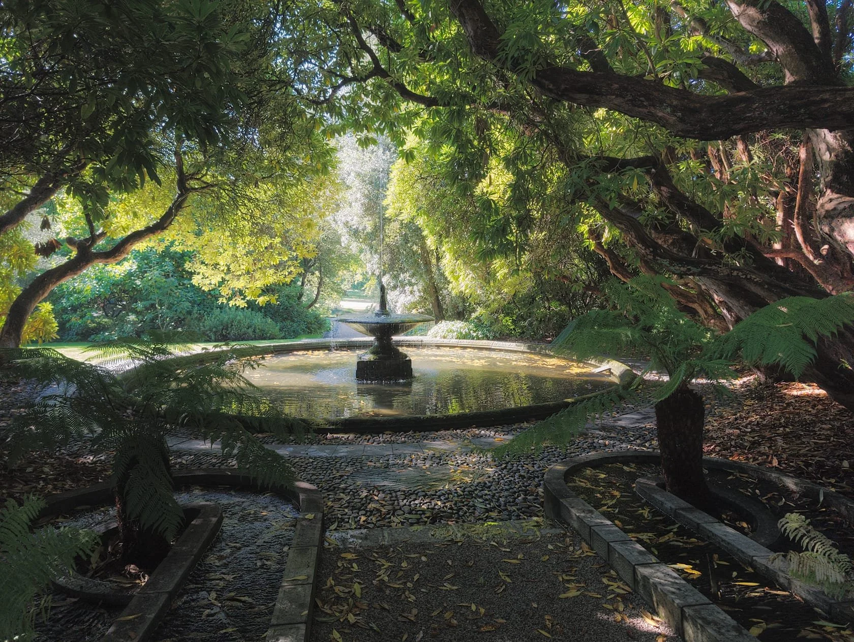  This was basically impossible to take a bad photo of. 