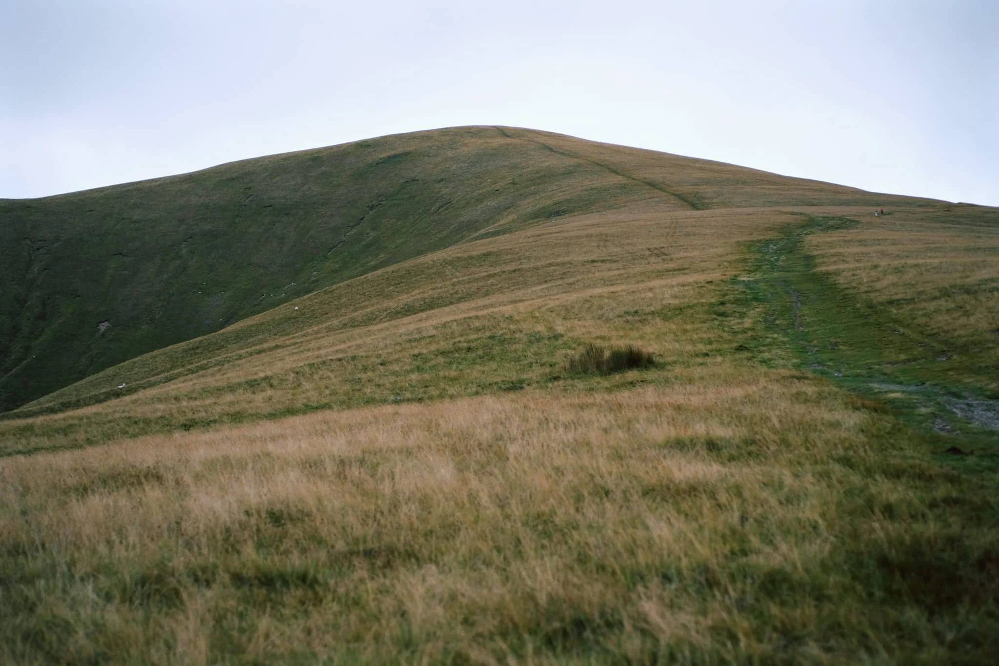  After reaching the plateau above Settlebeck Gill, our destination becomes immediately obvious: Arant Haw. 
