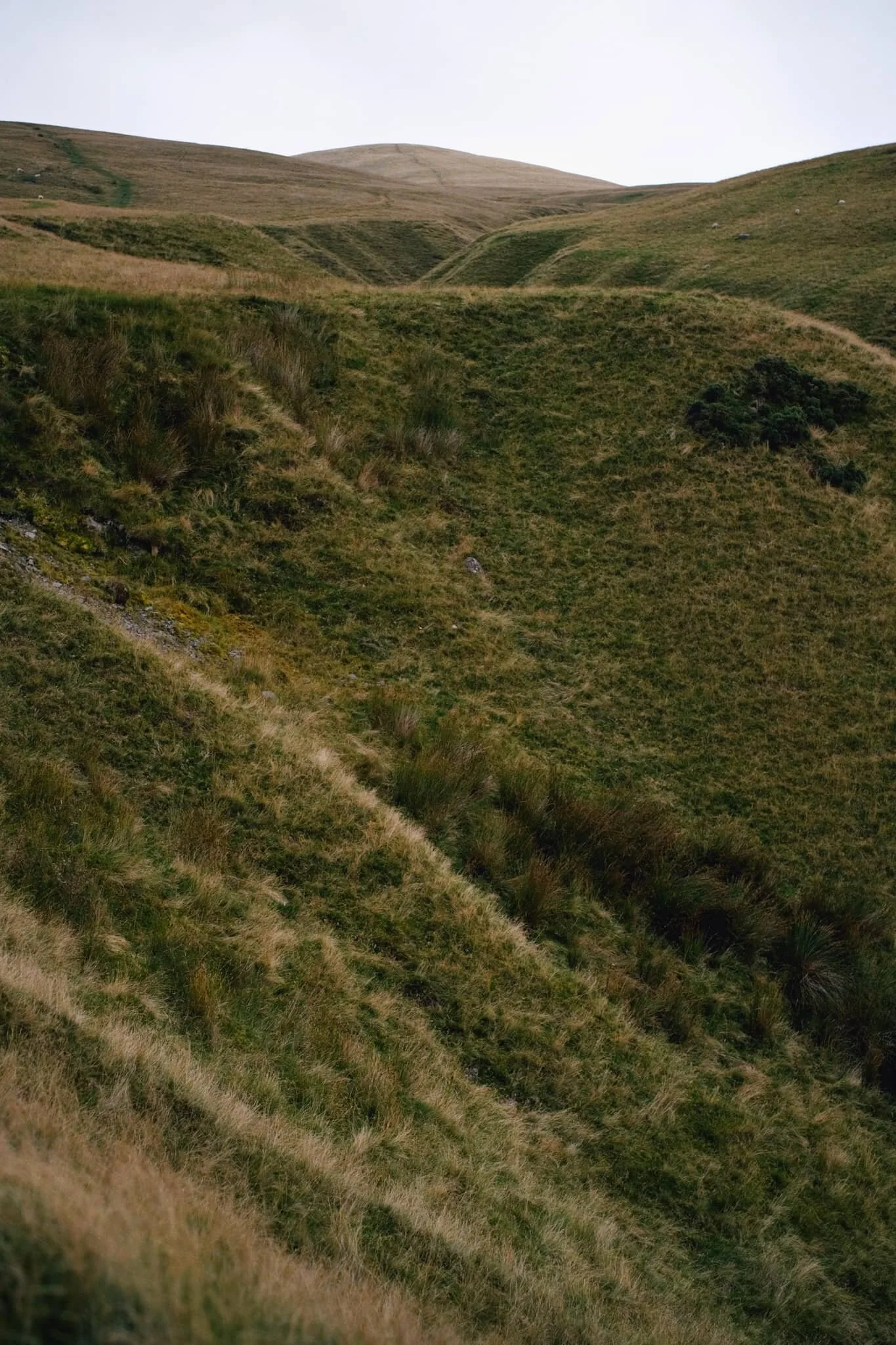  The view looking up Settlebeck Gill. That little hill in the distance with the trail running over it? That&rsquo;s our destination: Arant Haw. 