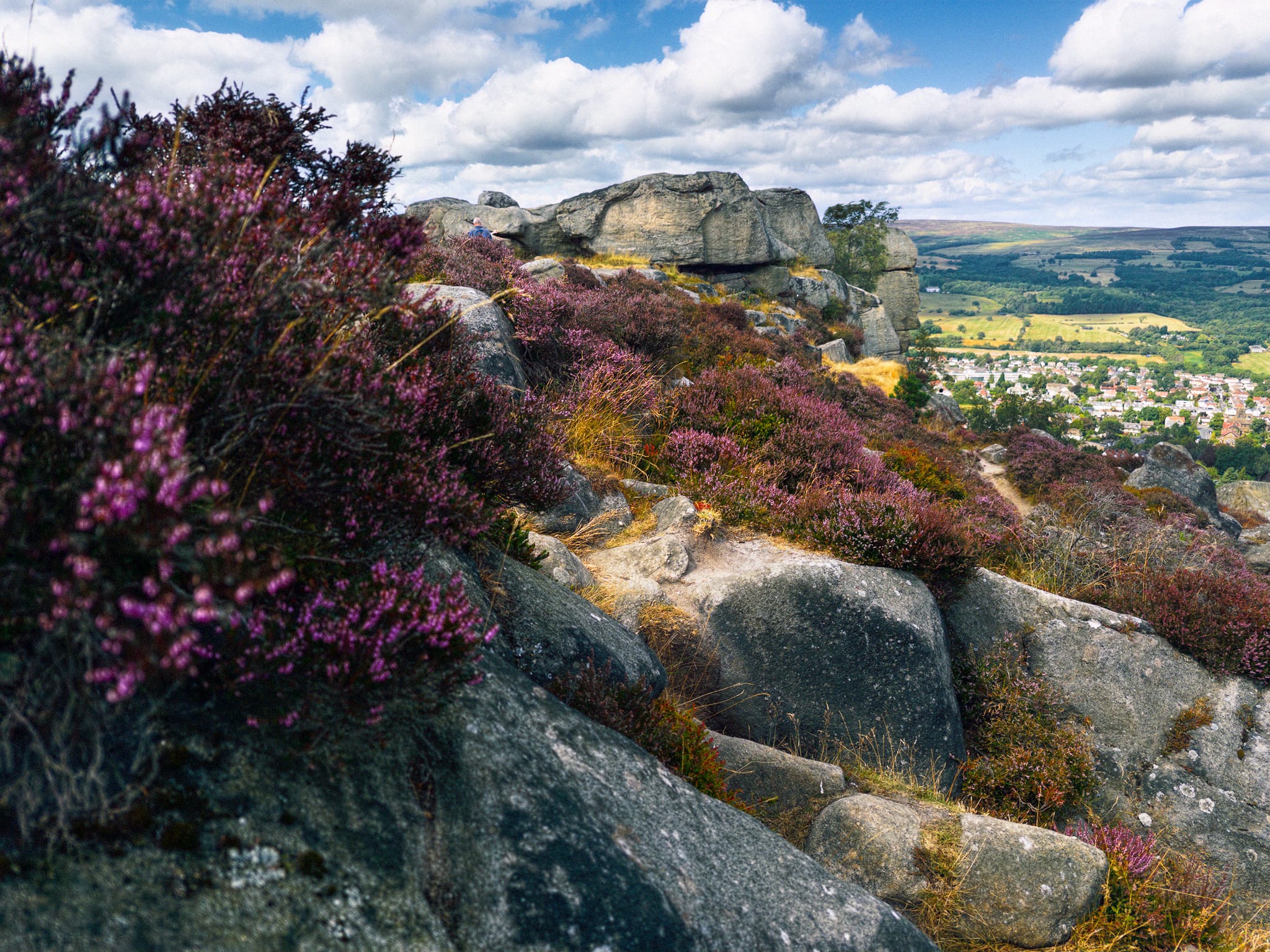 Beautiful heather punctuates the millstone grit boulders and formations from within the Cow & Calf. In the distance, Ilkley nestled within Wharfedale.