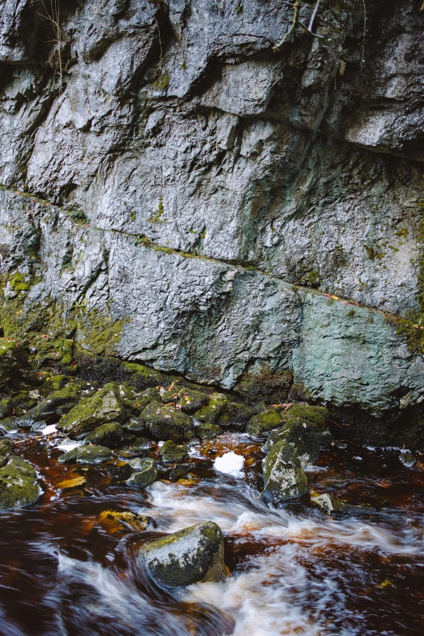  Not far into the first part of the trail, and the soft reflected light is already giving me ideas. 