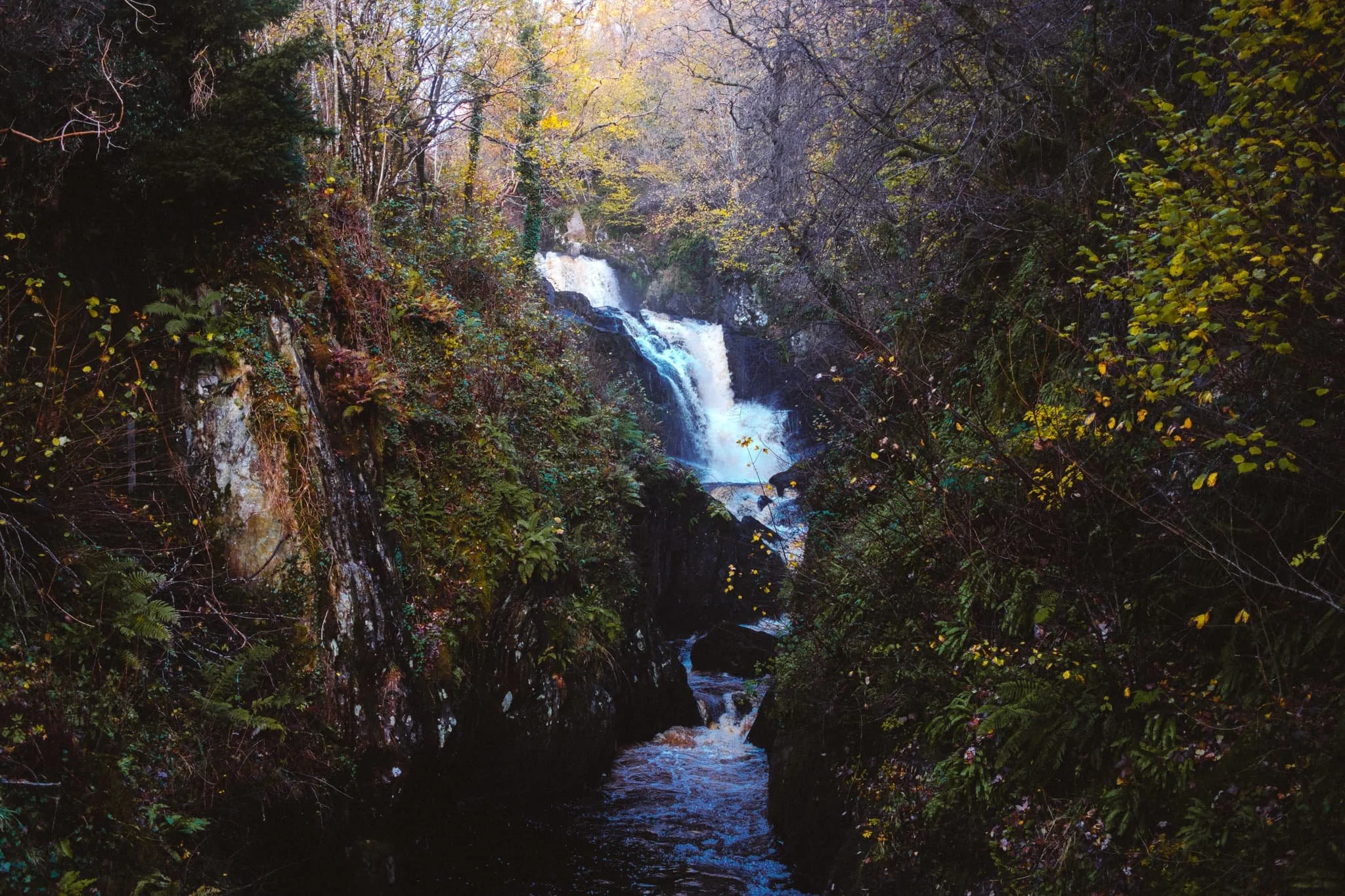  Our first sighting of the first waterfall on the trail: this is Pecca Falls, surrounded by lovely autumnal foliage. 