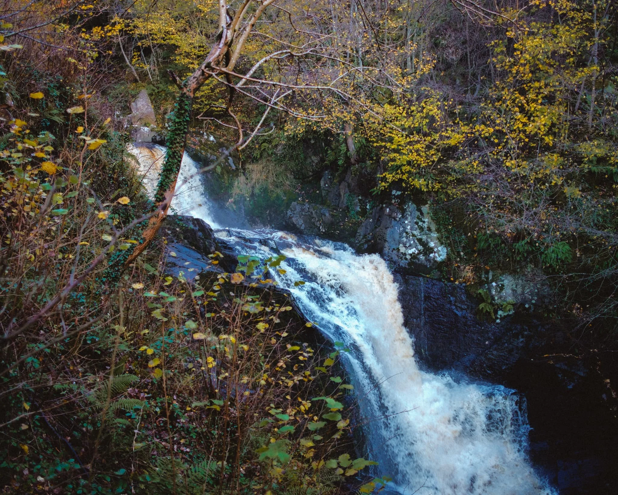  The trail criss-crosses over the River Twiss before ascending up alongside the waterfall, given me glorious views like this. 