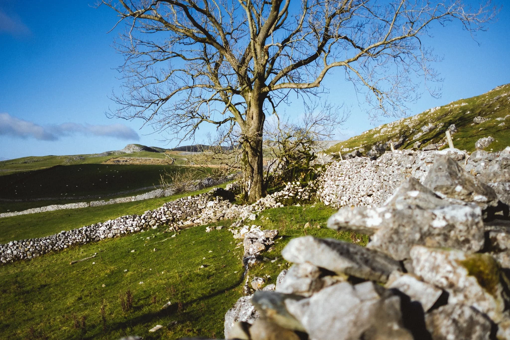  A different view of Tow Scar, featuring the characteristic limestone drystone walls of the Yorkshire Dales. 