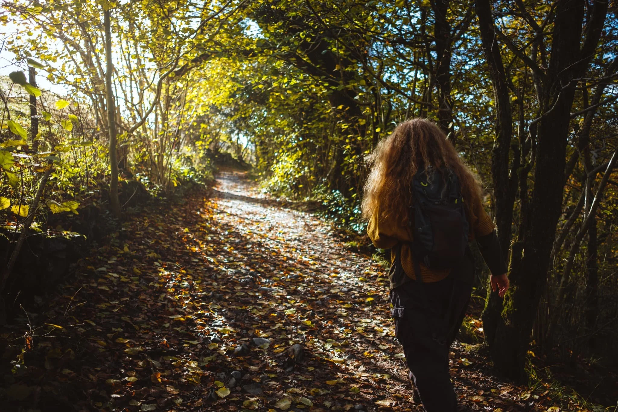  Shafts of light beam through the trees, catching Lisabet&rsquo;s glorious hair. 