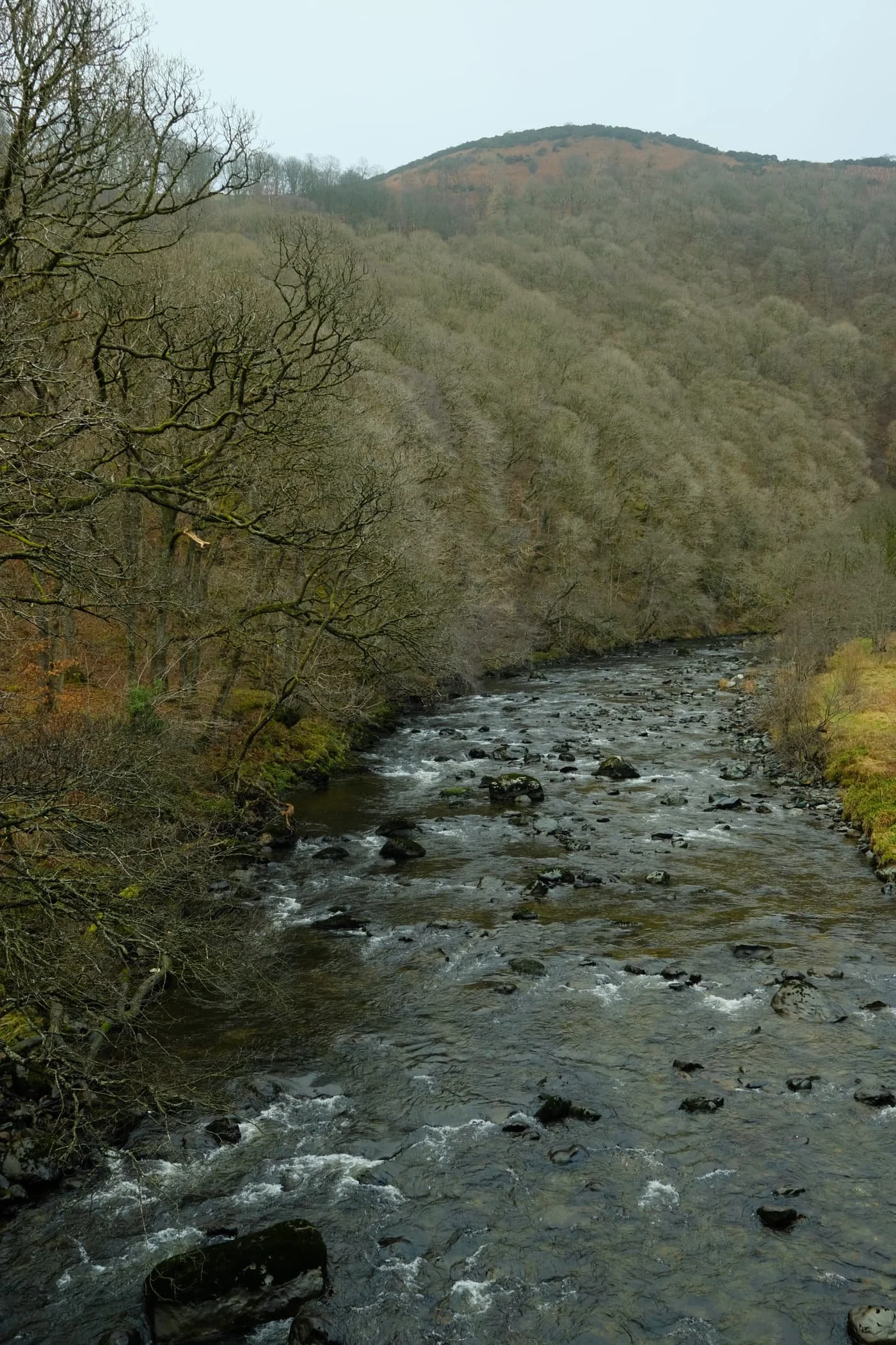  The trees now denuded of their leafy vegetation, line the river and serve as a leading line towards Latrigg. 