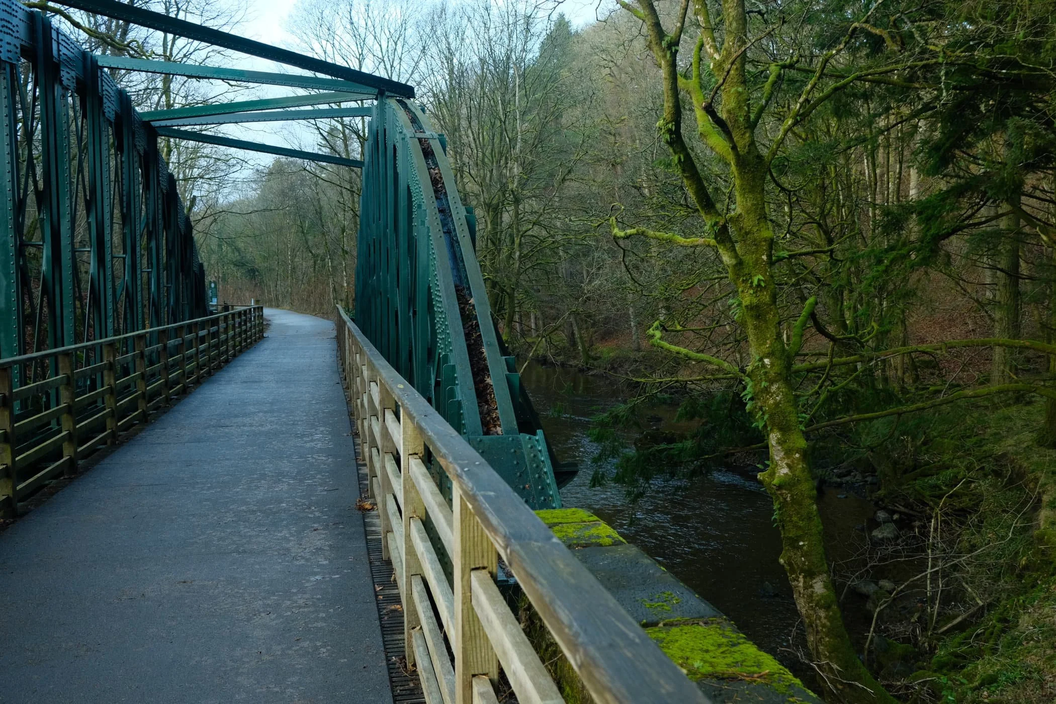  Near Threlkeld, lots of trees were covered in beautiful and vibrant moss as the gorge walls closed in. 