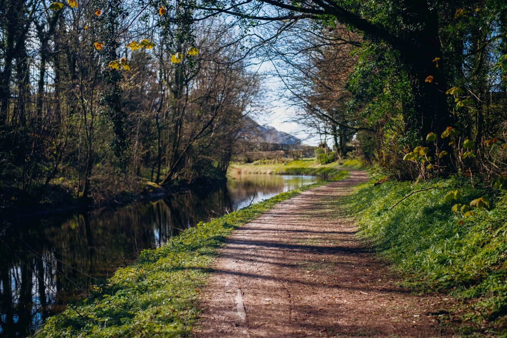  Glorious spring light bleeding through the trees. It&rsquo;s lovely to see all the leaves on the trees starting to sprout. 
