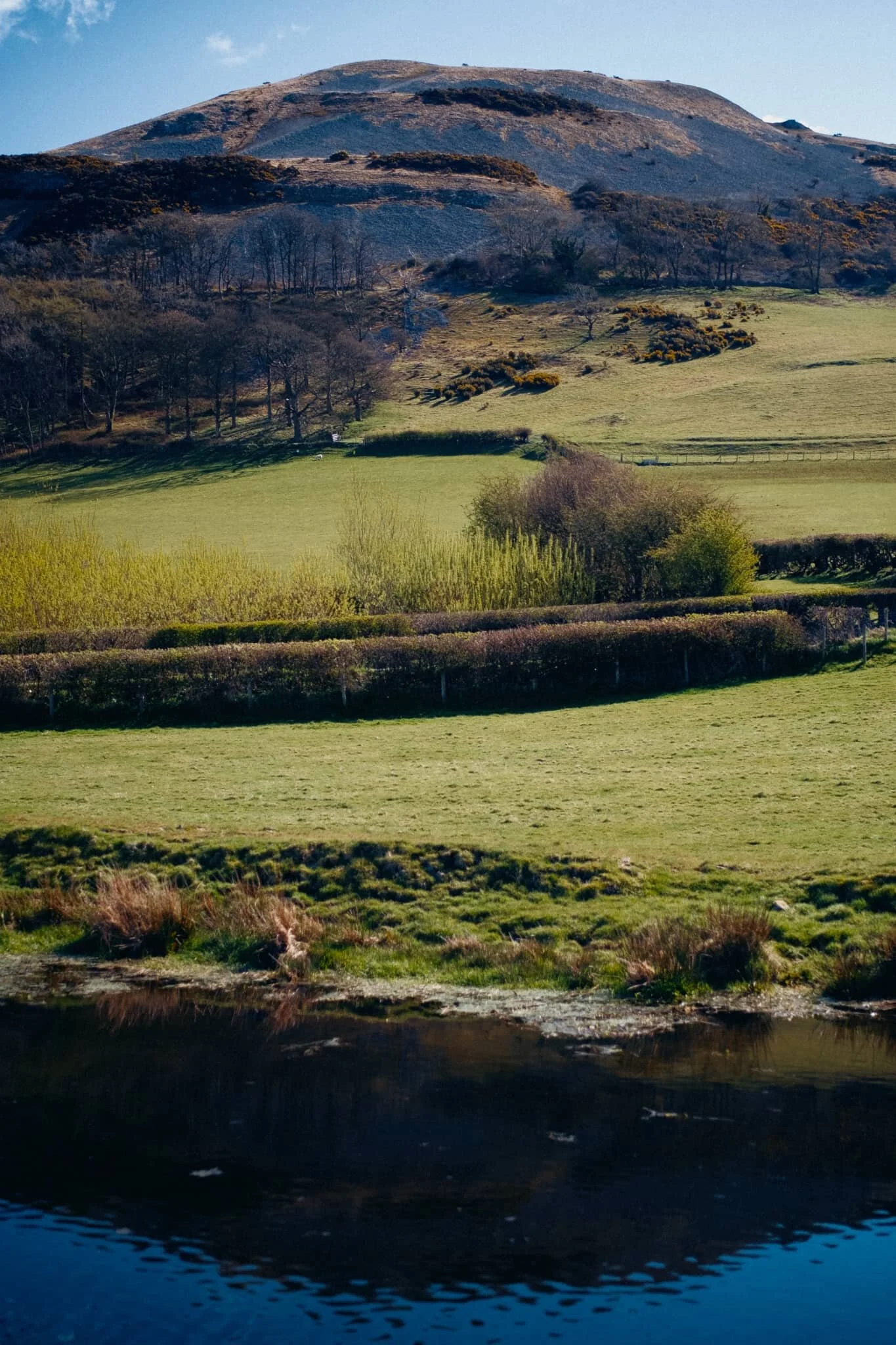  At Duke&rsquo;s Bridge the canal opens out into a mooring/turn point area, allowing for some reflections of Farleton Knott. 