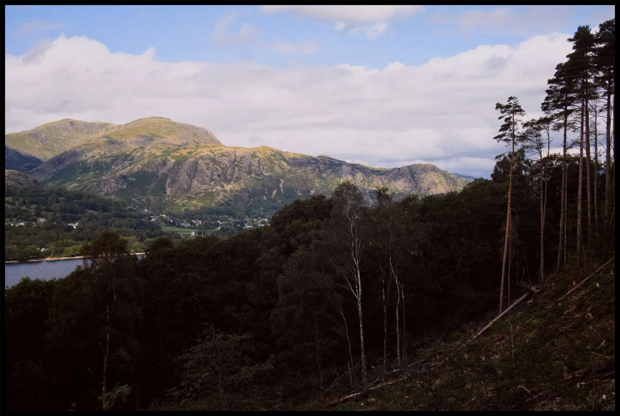  Active coppicing around Lawson Park is still very much evident. 