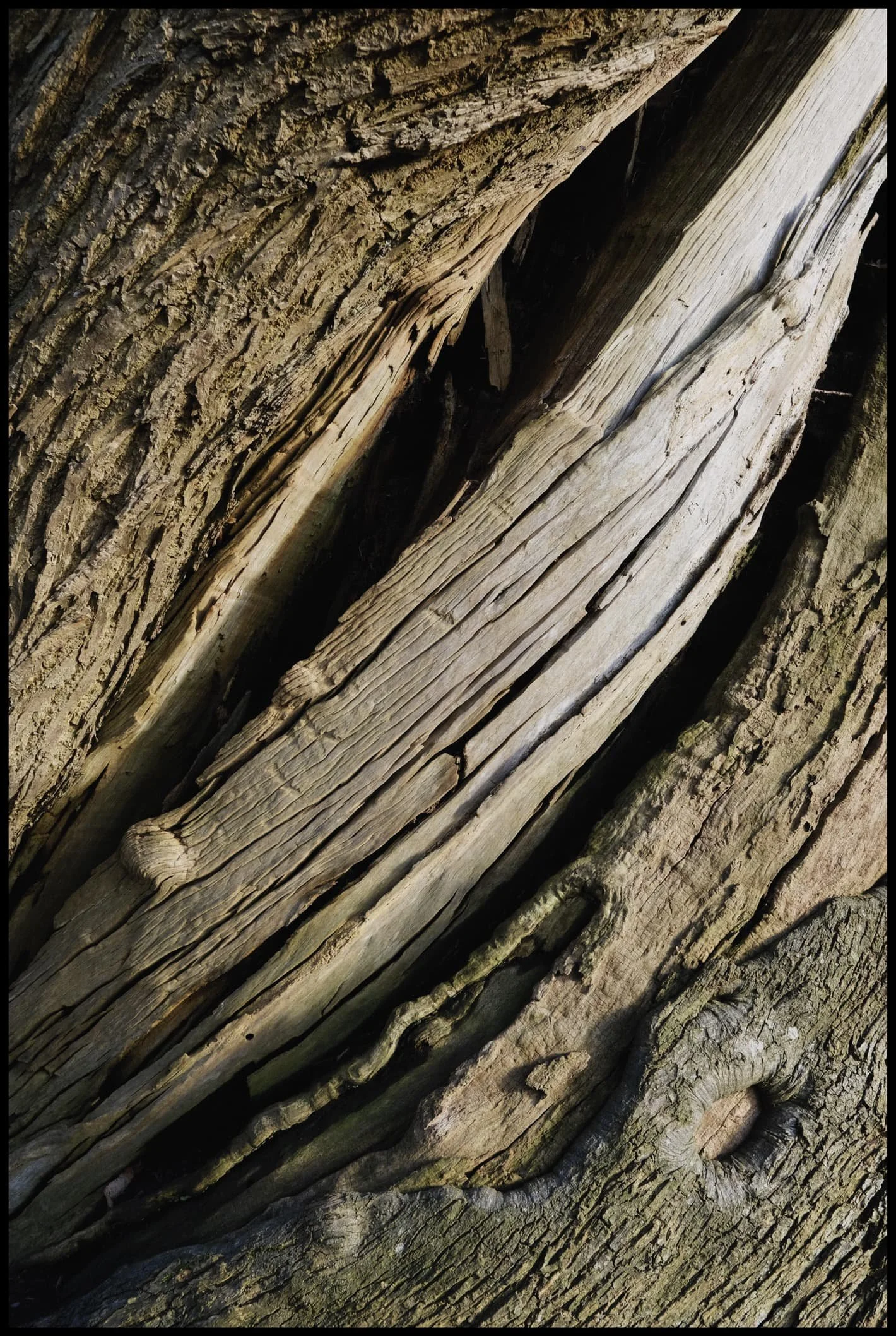  One of my favourite photos from the whole shoot. I&rsquo;ll probably use this as a phone wallpaper. 