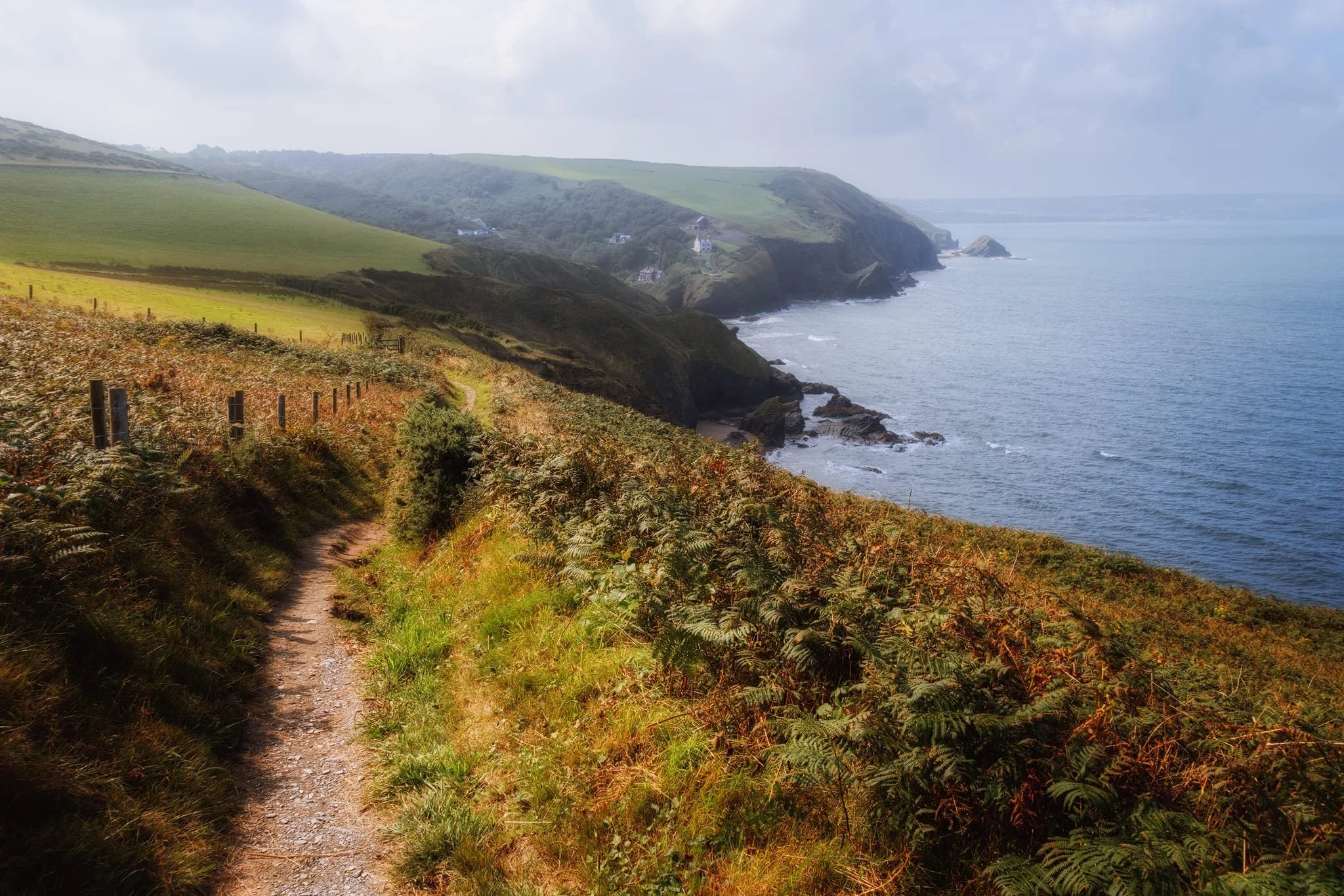  Beyond Llangrannog we took the Ceredigion Coast Trail up onto the clifftops. Looking back gave us this wonderful, if hazy, panorama of the Llangrannog cliffs. 