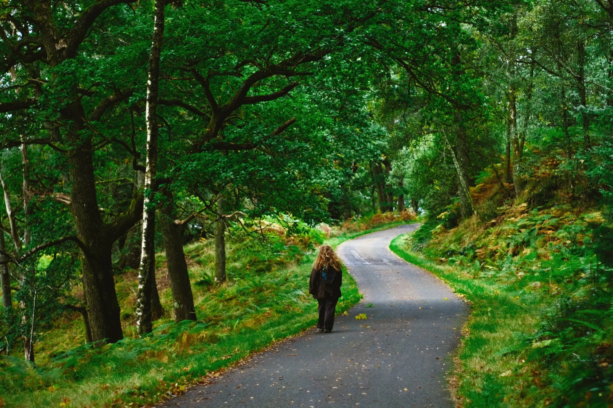  Autumn fern popping up amongst the lush forest colours, my Lisabet striding purposefully ahead. 
