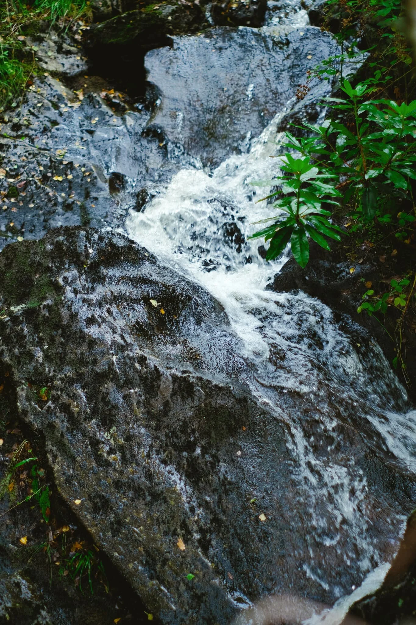  One of many beautiful little cascades that flow into Loch Katrine from the many hills that surround it. 