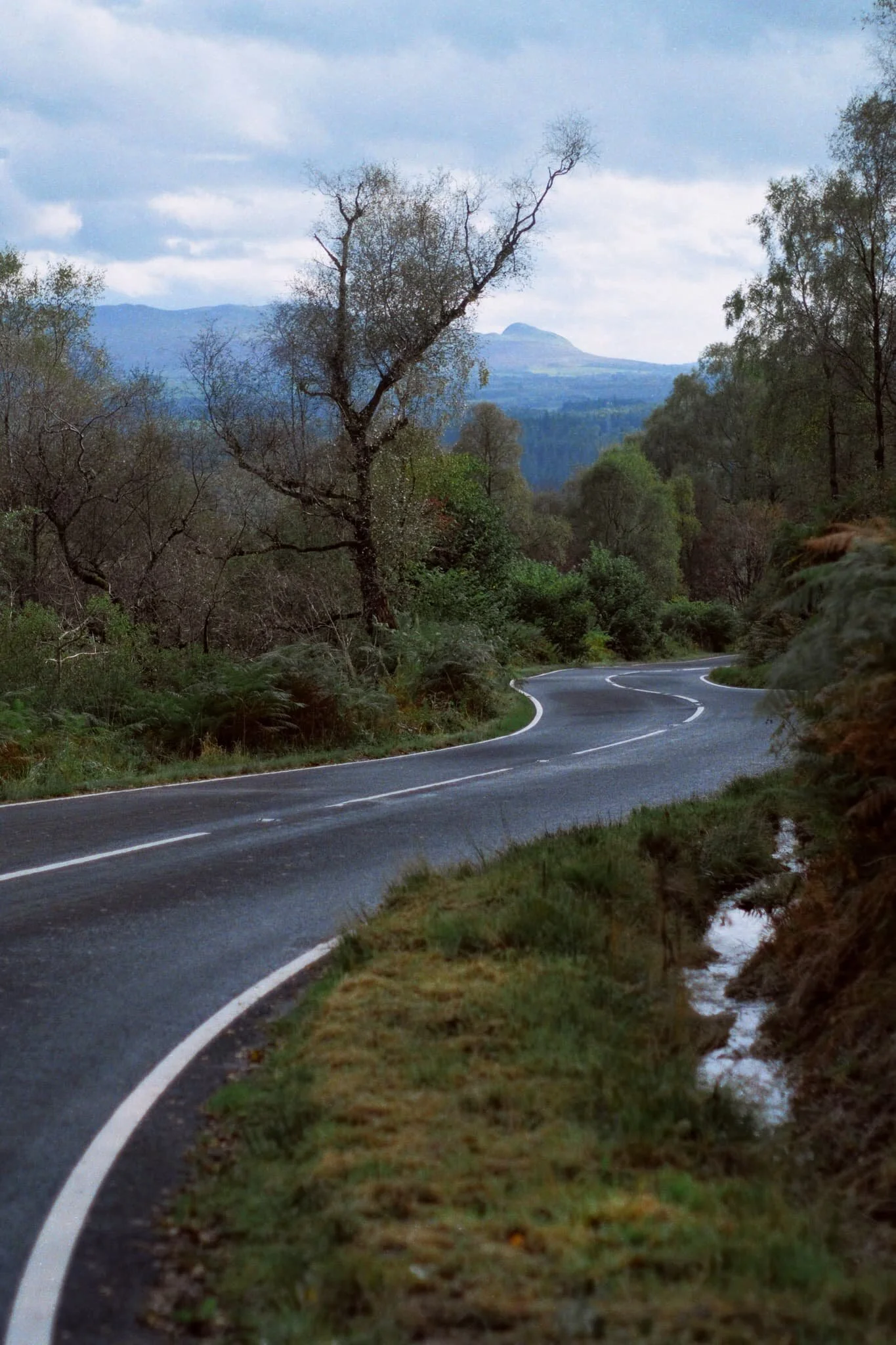  We followed the Duke&rsquo;s Pass downhill, seeking to rejoin the Craigmore trail back towards the Visitor Centre. But not before snapping some cracking views. 