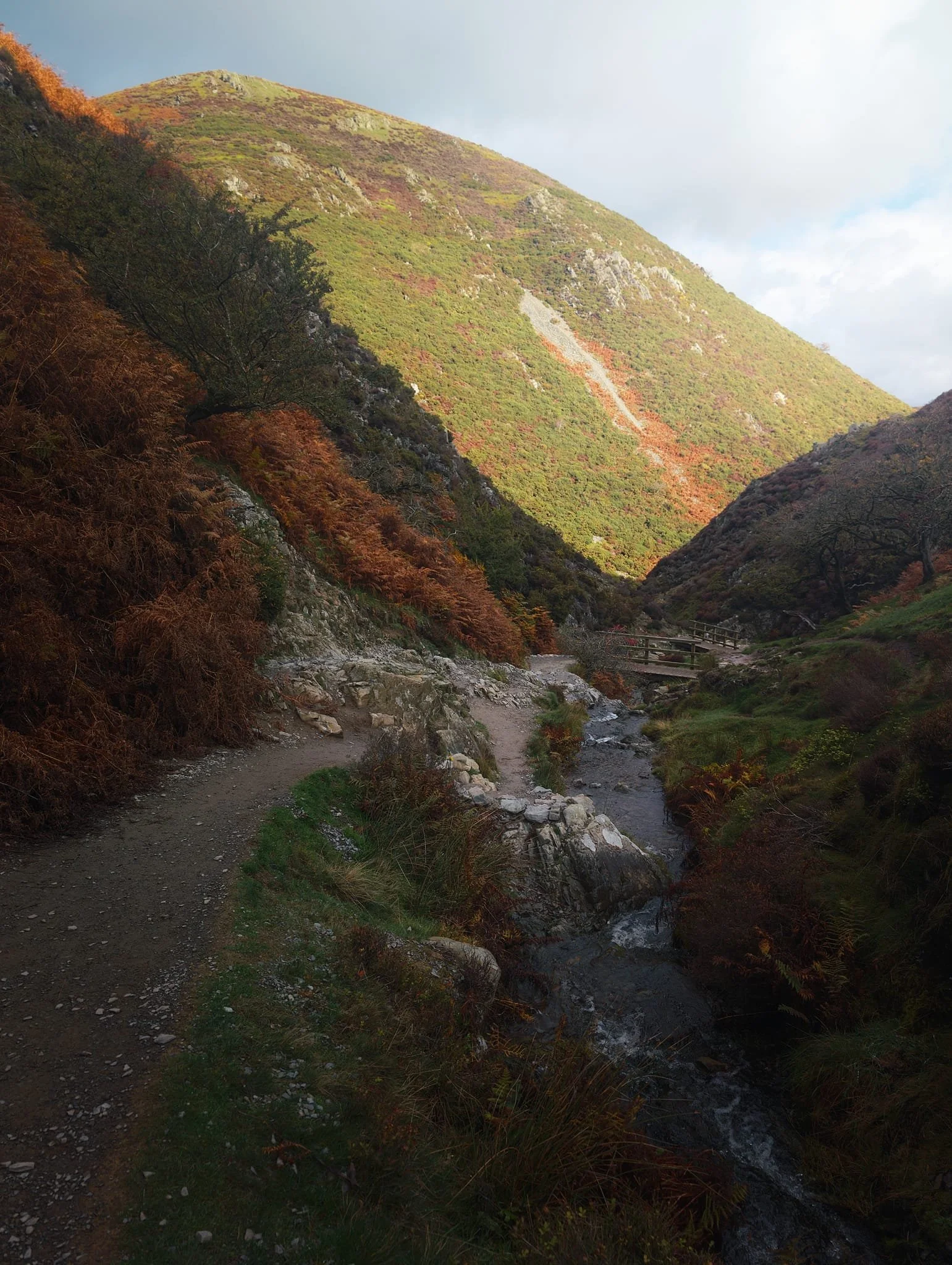  The going up Light Spout Hollow is short yet steep, with a couple of &ldquo;bad steps&rdquo; you need to navigate. However, the views back down are terrific. Here, looking back down the ravine sees Haddon Hill bathed in autumnal light. 