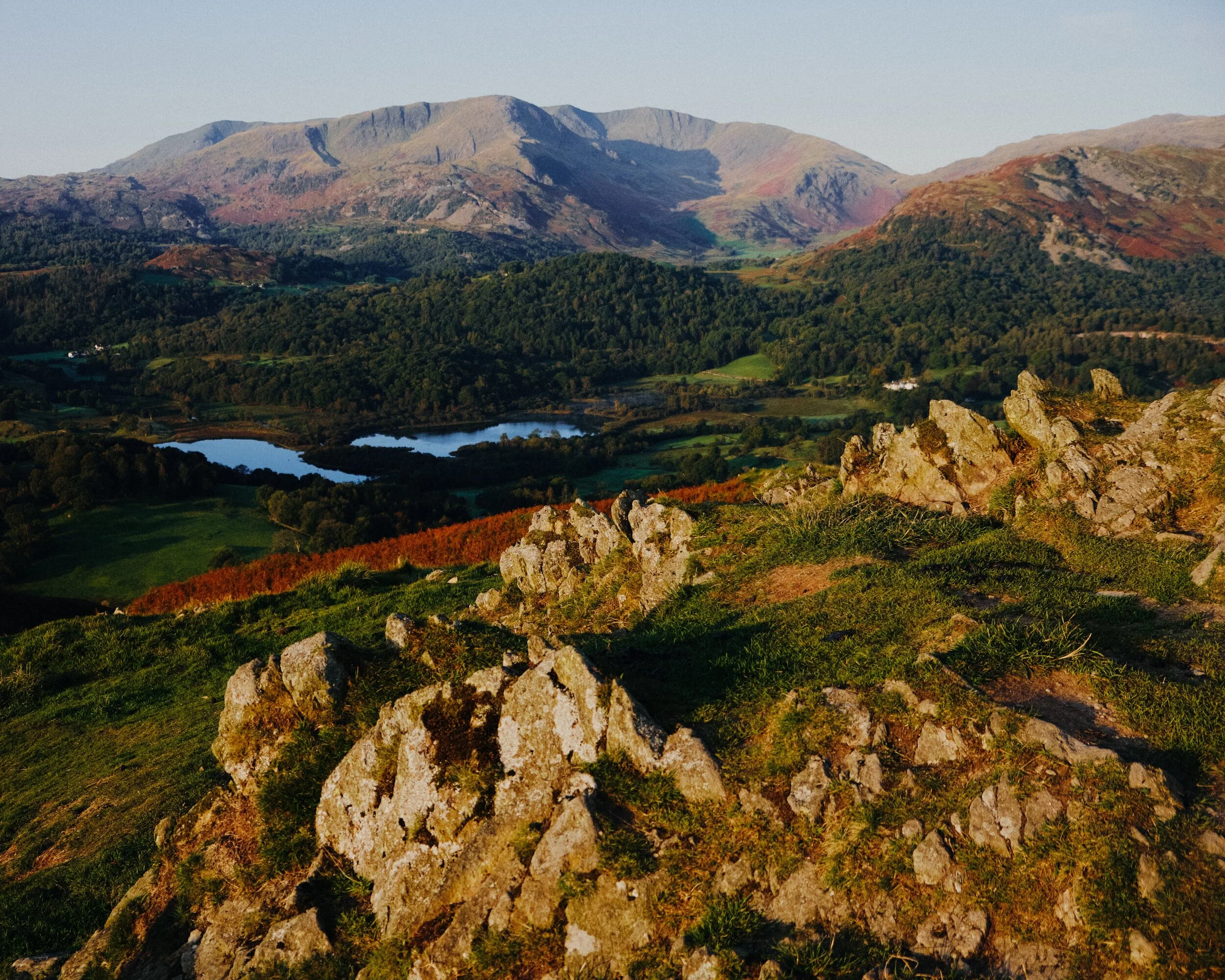 Dscf2943_Export Copy