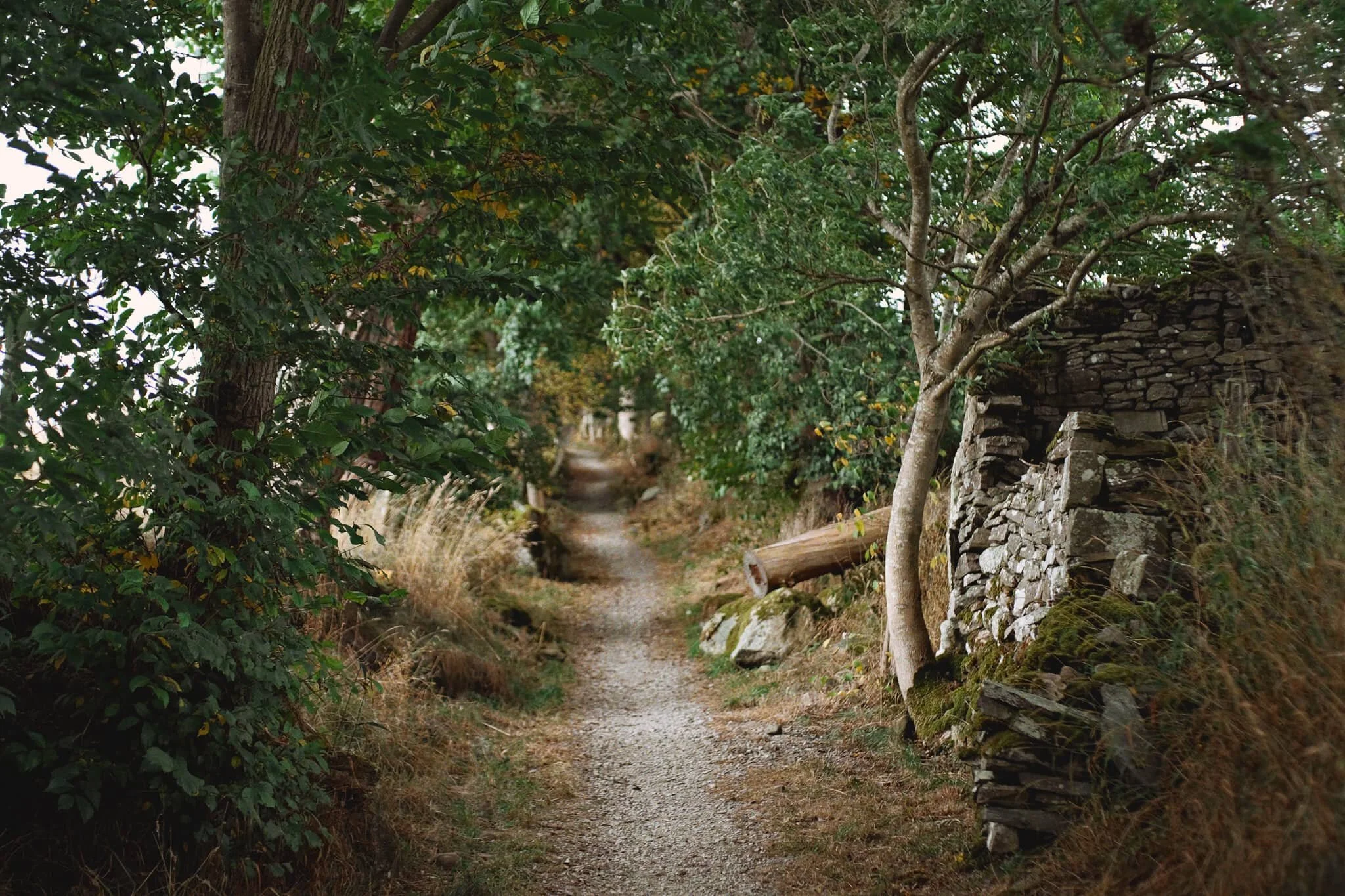  One of my favourite parts of this hike is when you come off the road to Whale and up the &ldquo;lonnin&rdquo; (lane) alongside Millkeld Sike towards Helton. 