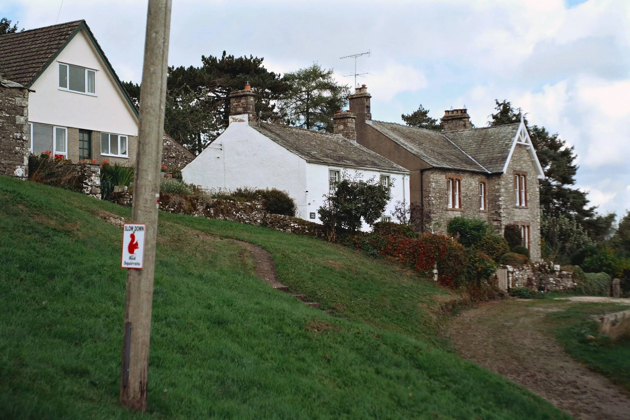  Didn&rsquo;t spot any red squirrels, unfortunately. 