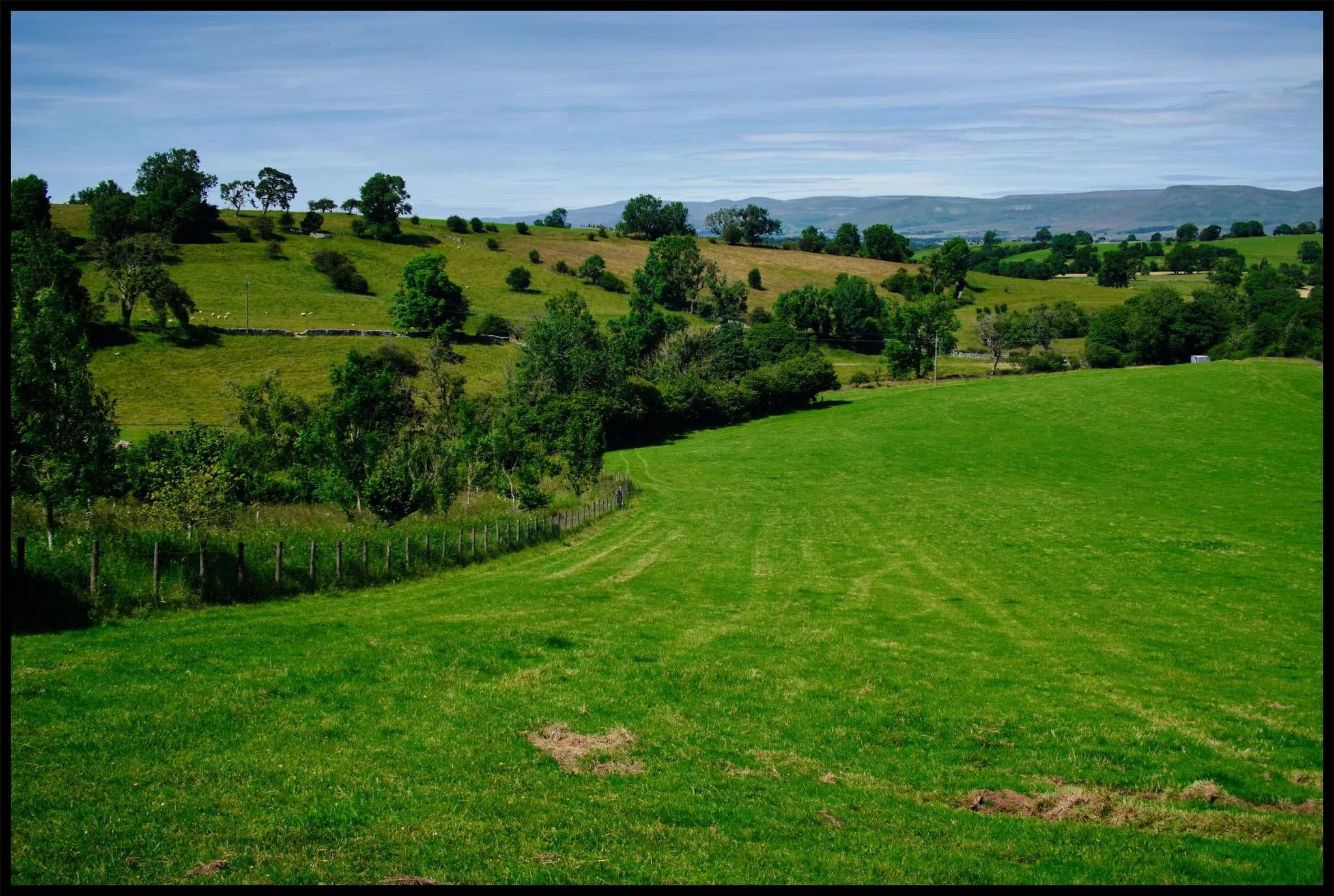  After refuelling with drink and food at Kirkby Stephen, we parked up at Smardale to walk through the nature reserve towards the epic Smardale Gill Viaduct. 
