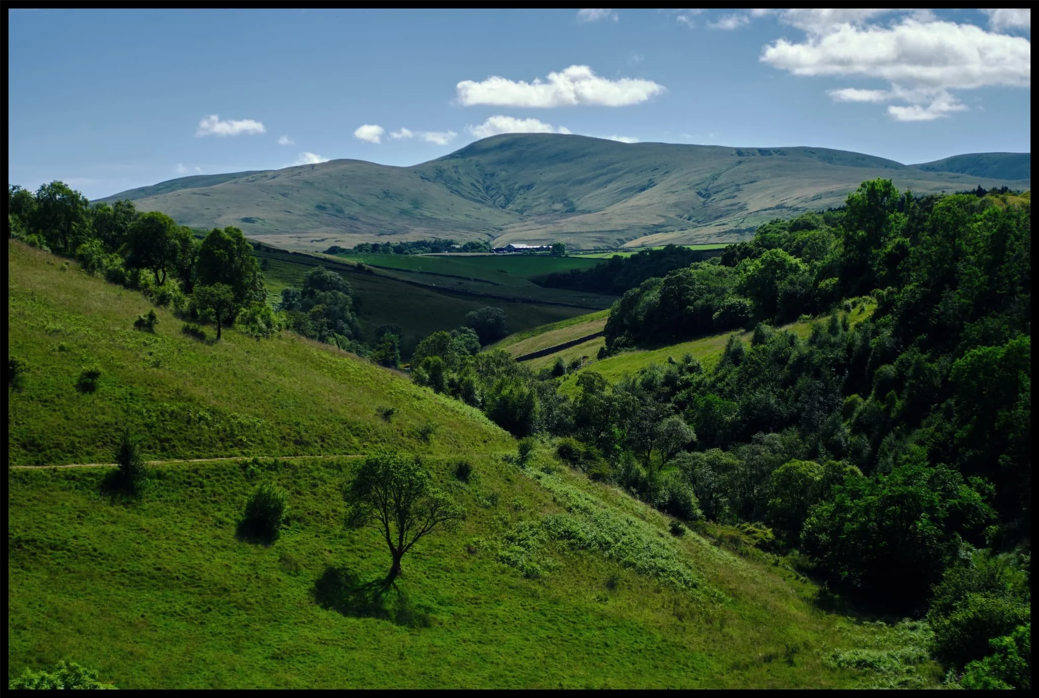  In the distance is Green Bell, one of the Howgills near Ravenstonedale. 