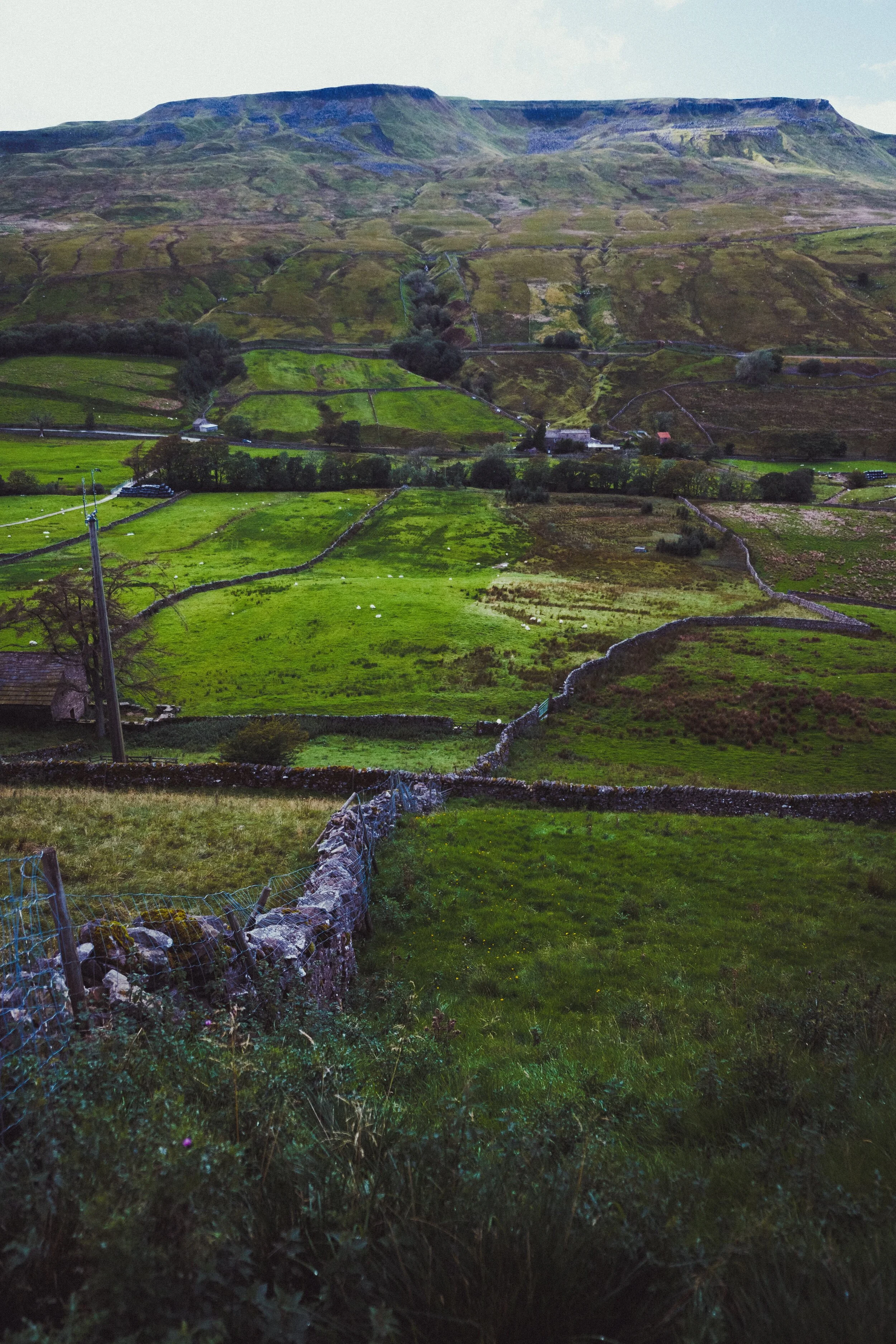  Slade Edge offers wonderful vistas, both towards Wild Boar Fell on the western side and Mallerstang Edge on the east. Here, my eye spies a meandering drystone wall and I can&rsquo;t resist the photo. 