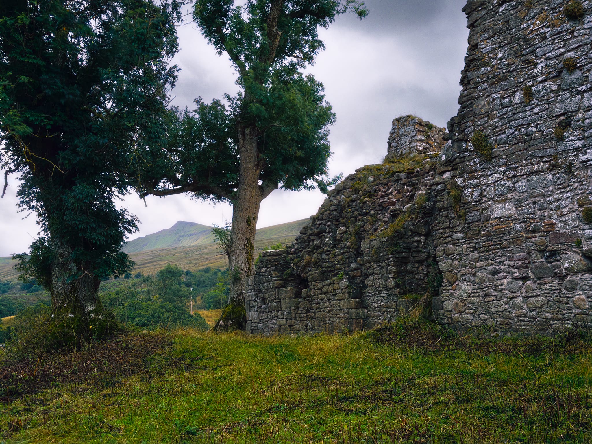 A wider composition, taking part of the old ruins of Pendragon Castle with Wild Boar Fell framed between the trees.