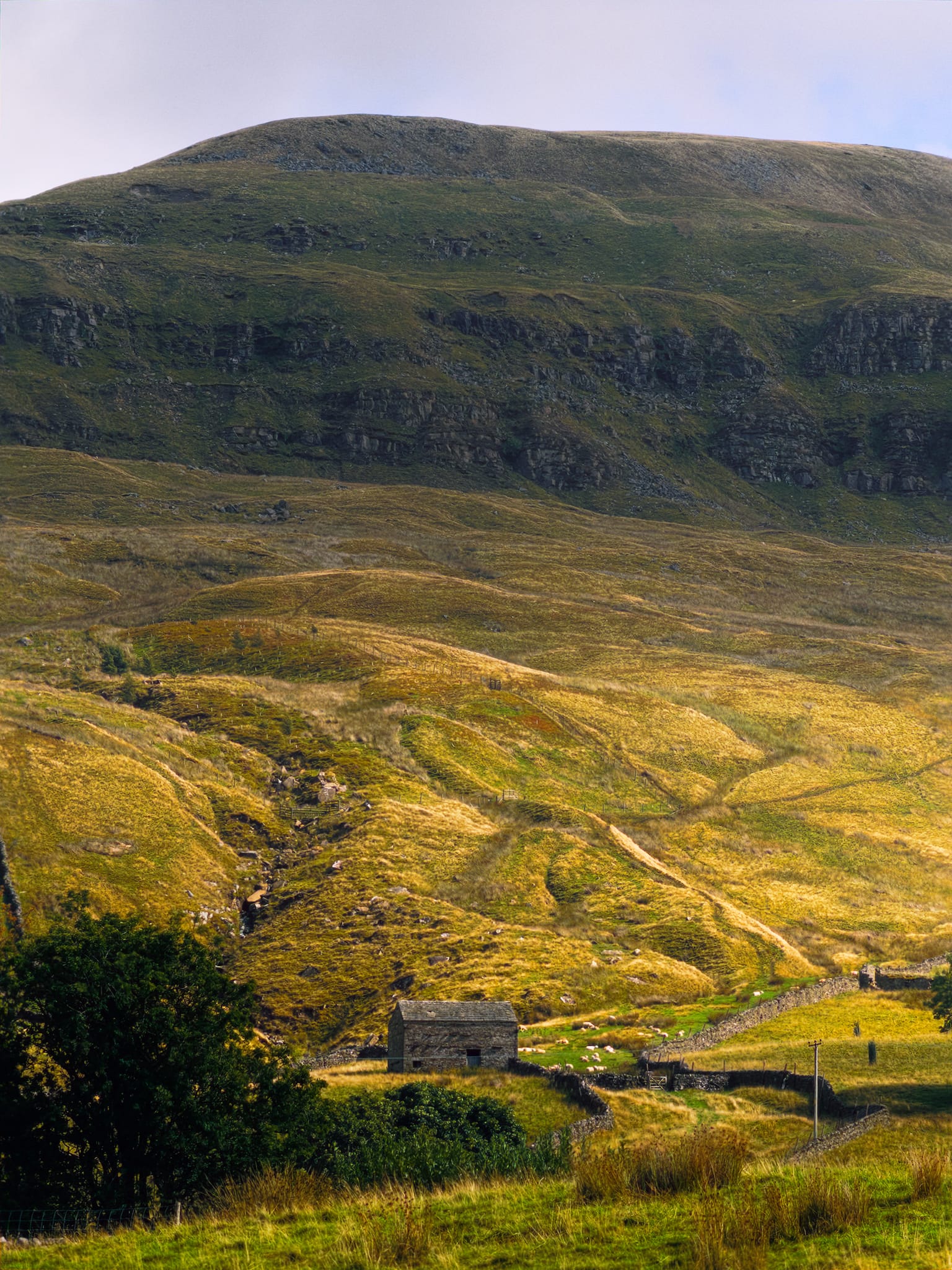 Golden light picks out the creases and folds of the landscape as the wall of Mallerstang Edge rises above in darkenss.